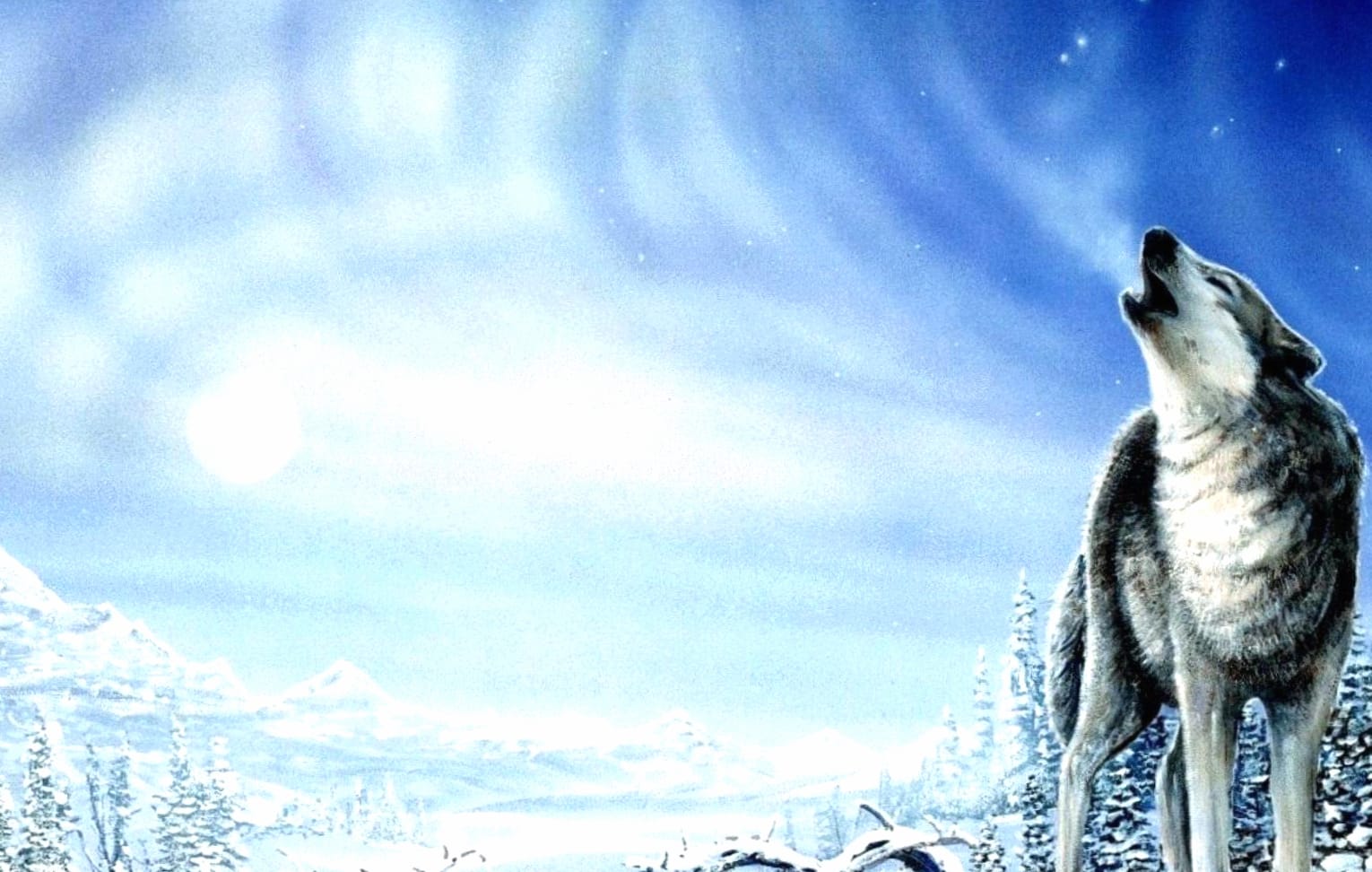 Howling Wolf Winter Wonderland wallpapers HD Howling Wolf Winter Wonderland wallpapers HD quality
