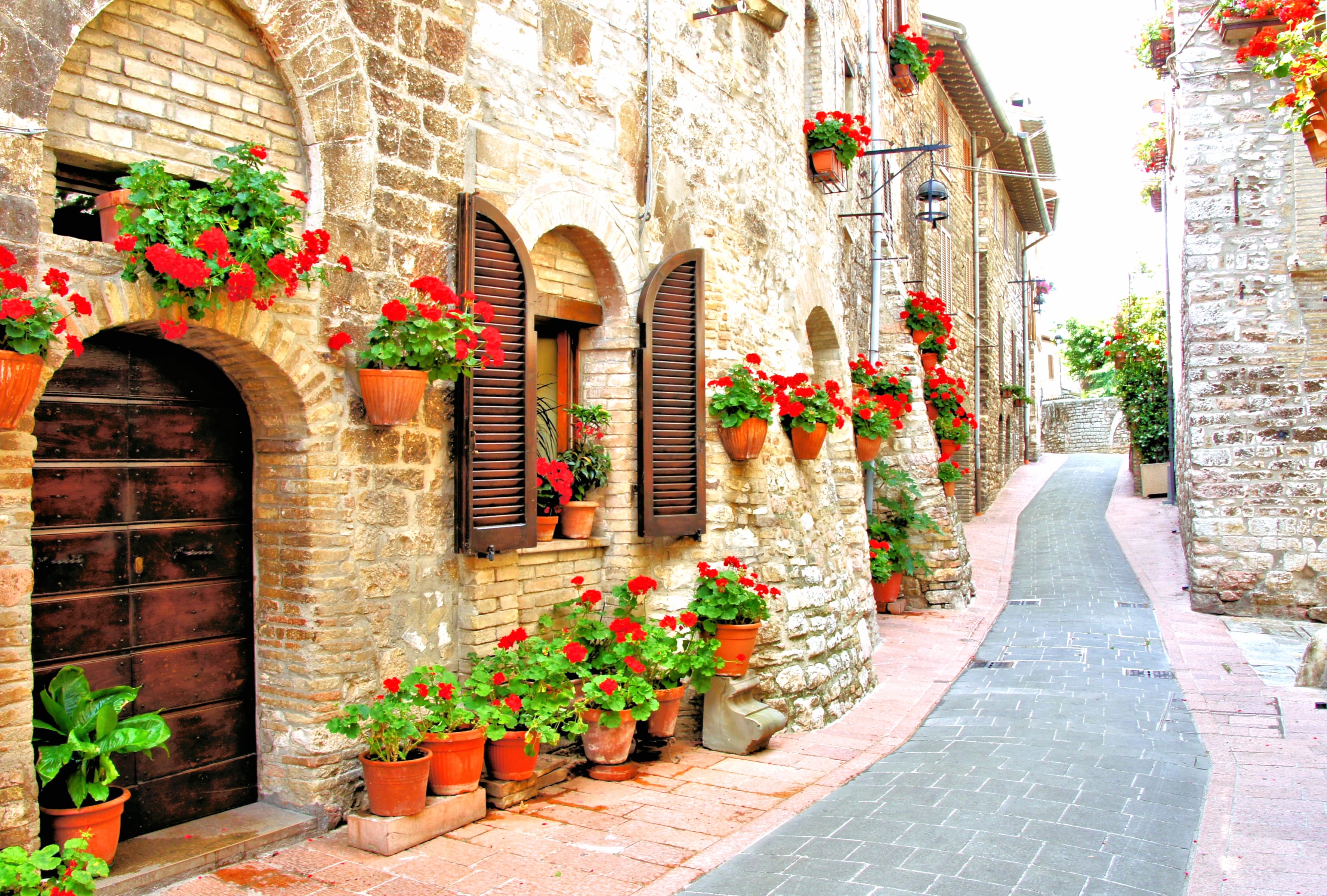 Italian Street with Red Flowers - wallpapers HD quality