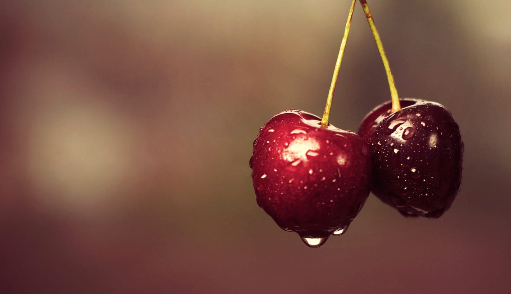 Juicy Cherries - A Delightful at 1024 x 768 size wallpapers HD quality