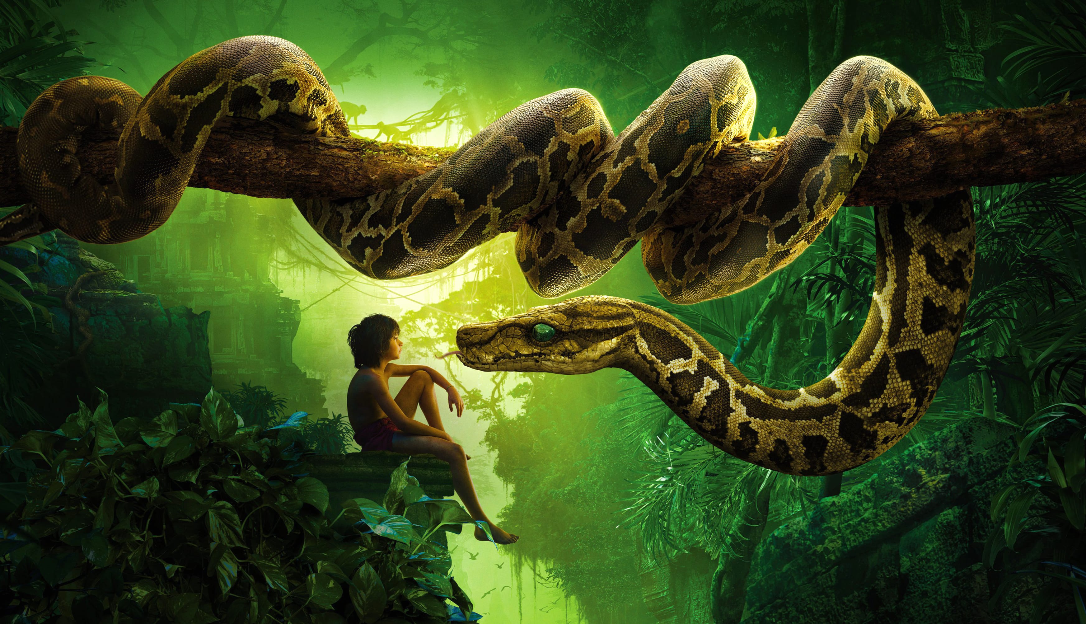 Kaa & Mowgli - Jungle Book 2016 at 1600 x 900 HD size wallpapers HD quality