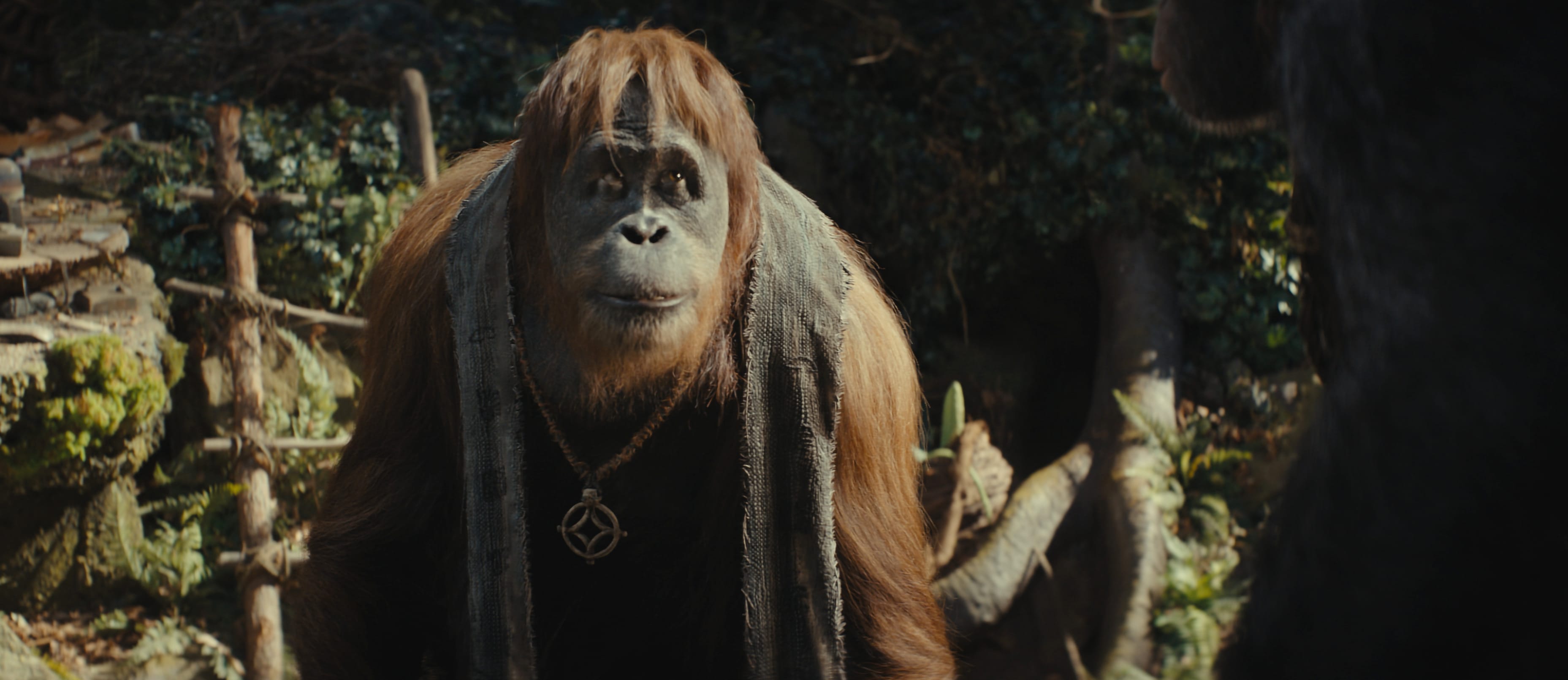 Kingdom of the Planet of the Apes at 1280 x 960 size wallpapers HD quality