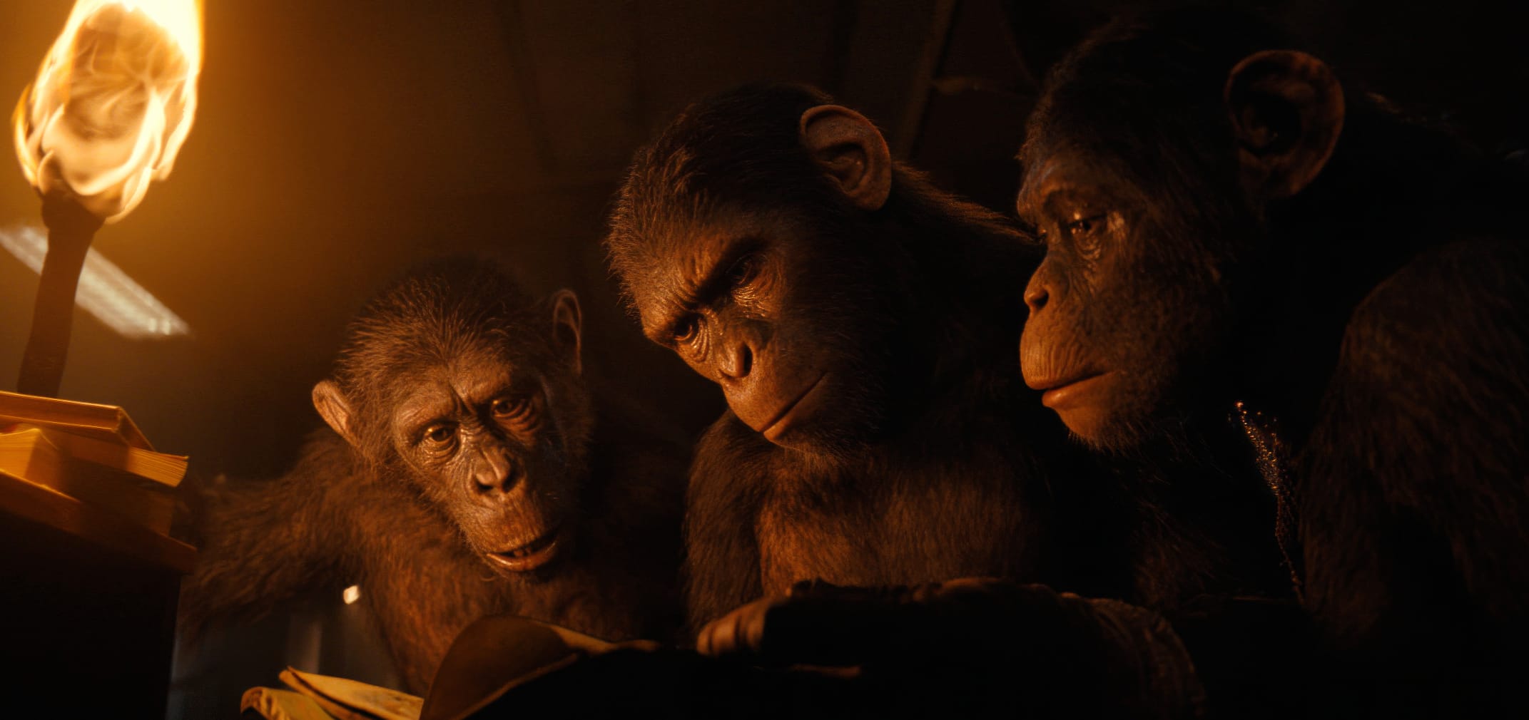 Kingdom of the Planet of the Apes Movie at 1280 x 960 size wallpapers HD quality