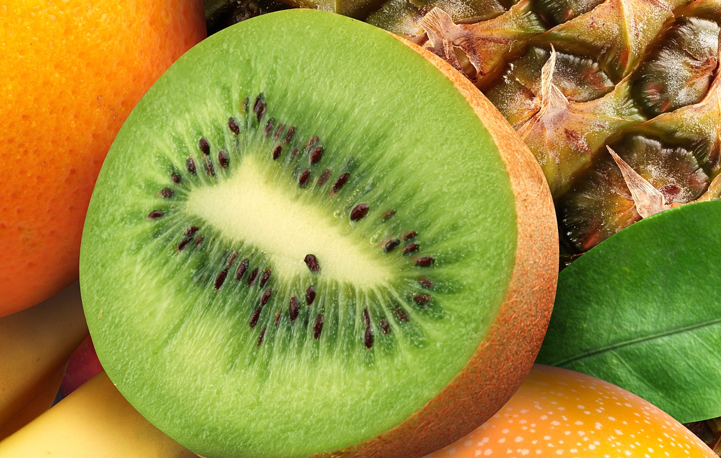 Kiwi Pineapple Food Fruit wallpapers HD quality