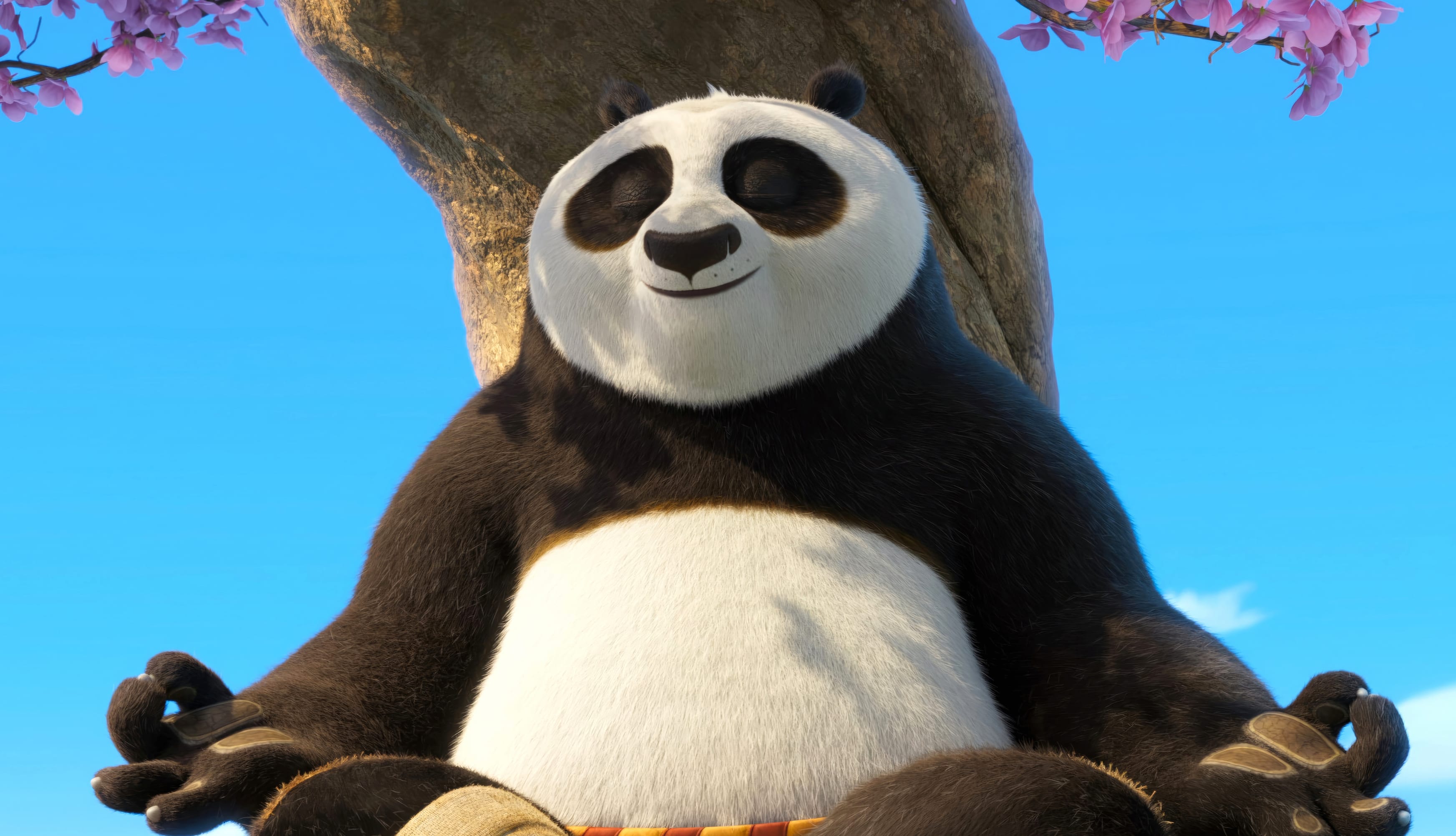 Kung Fu Panda 4 Po Wallpaper – HD Desktop Background wallpapers HD quality