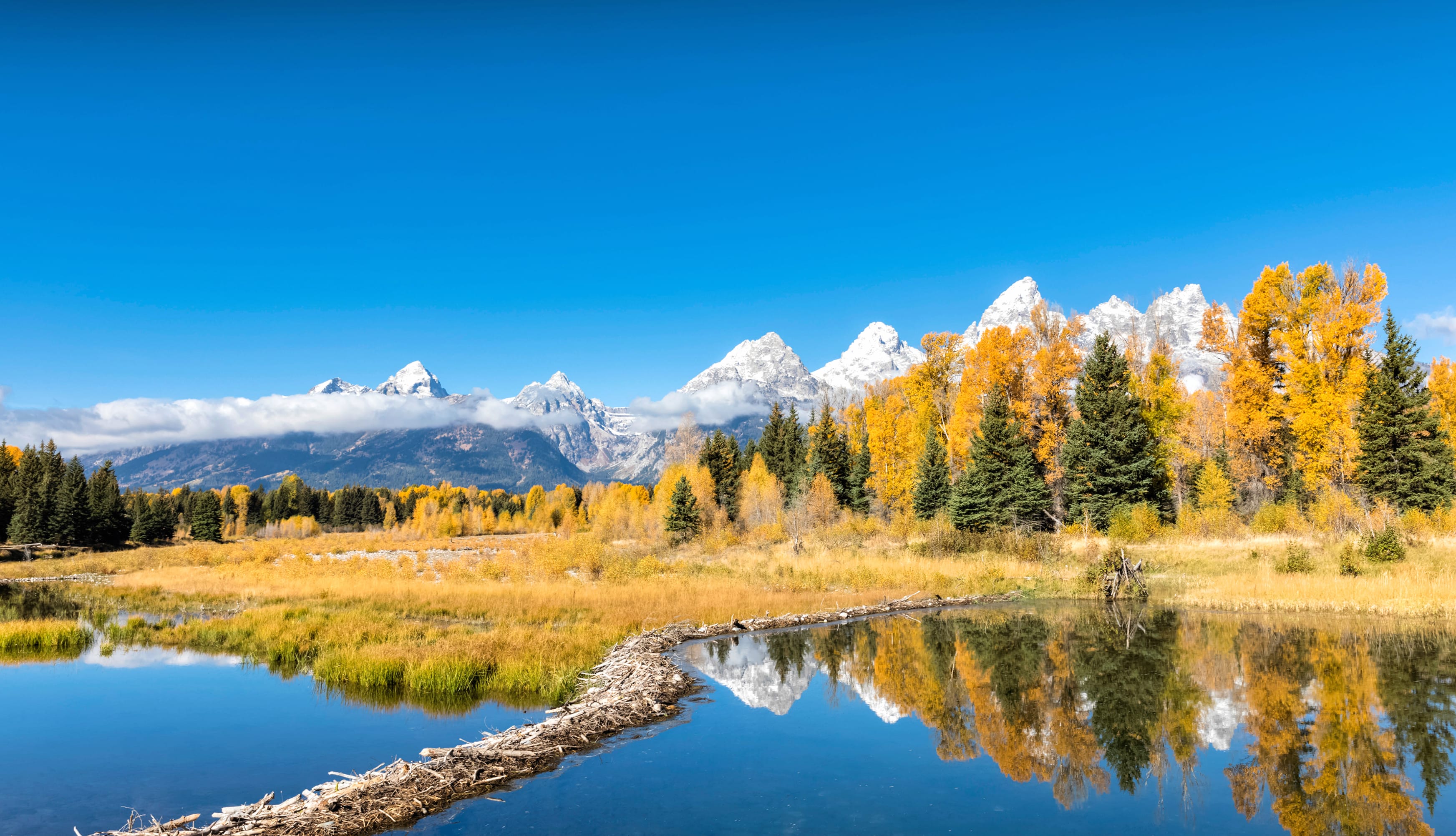 Landscape Reflection Nature Grand Teton National Park wallpapers HD quality