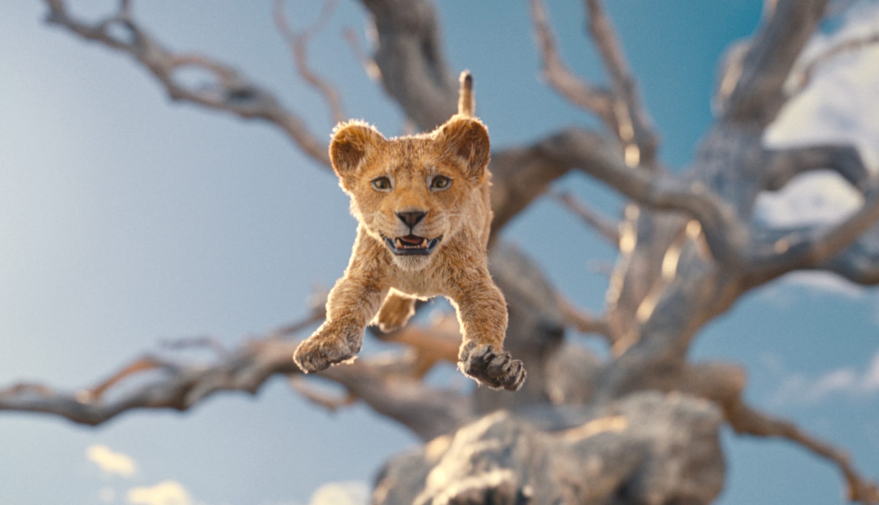 Leap of Mufasa The Lion King wallpapers HD quality