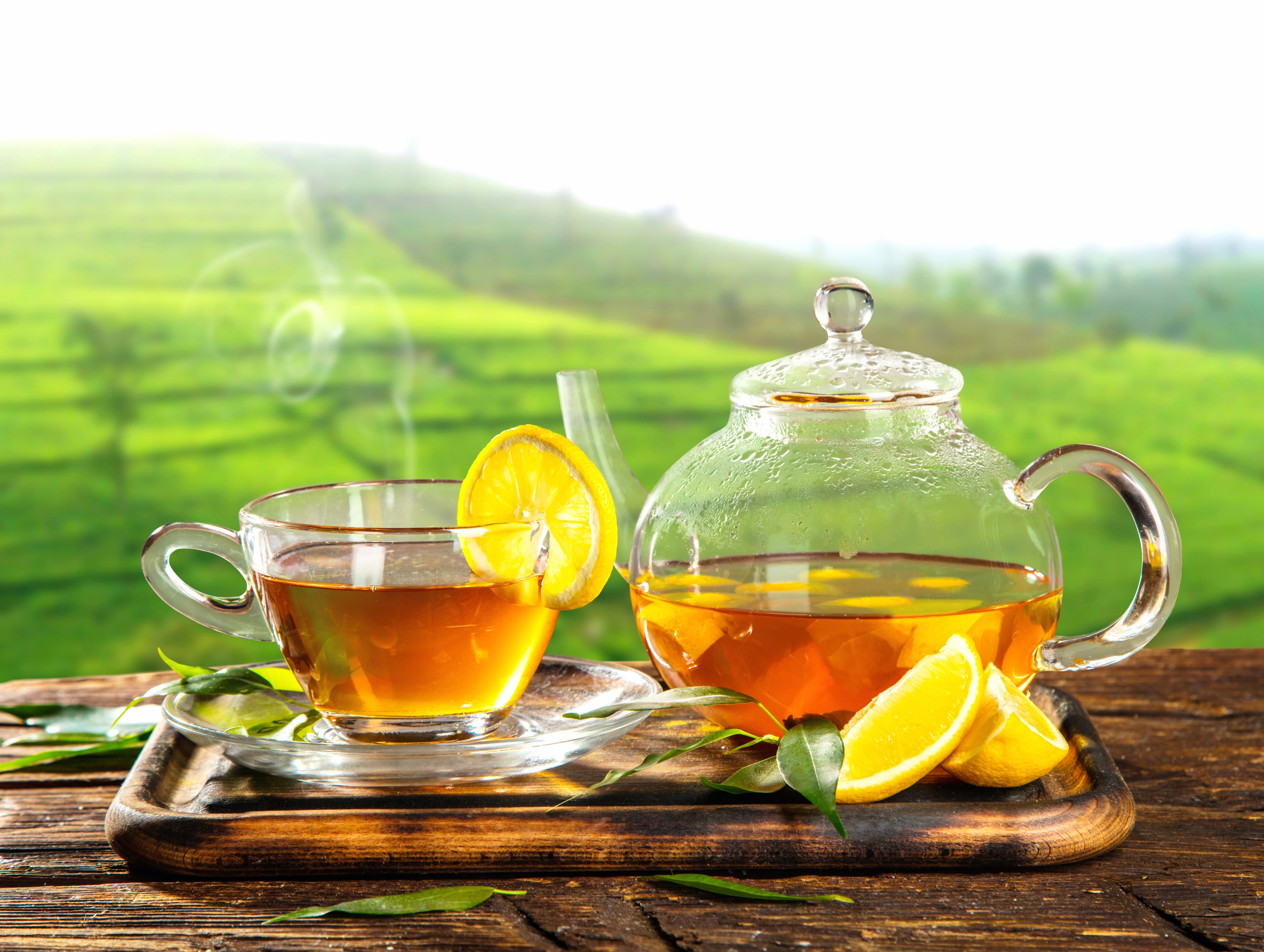 Lemon Depth Of Field Teapot Drink Cup Food Tea wallpapers HD quality