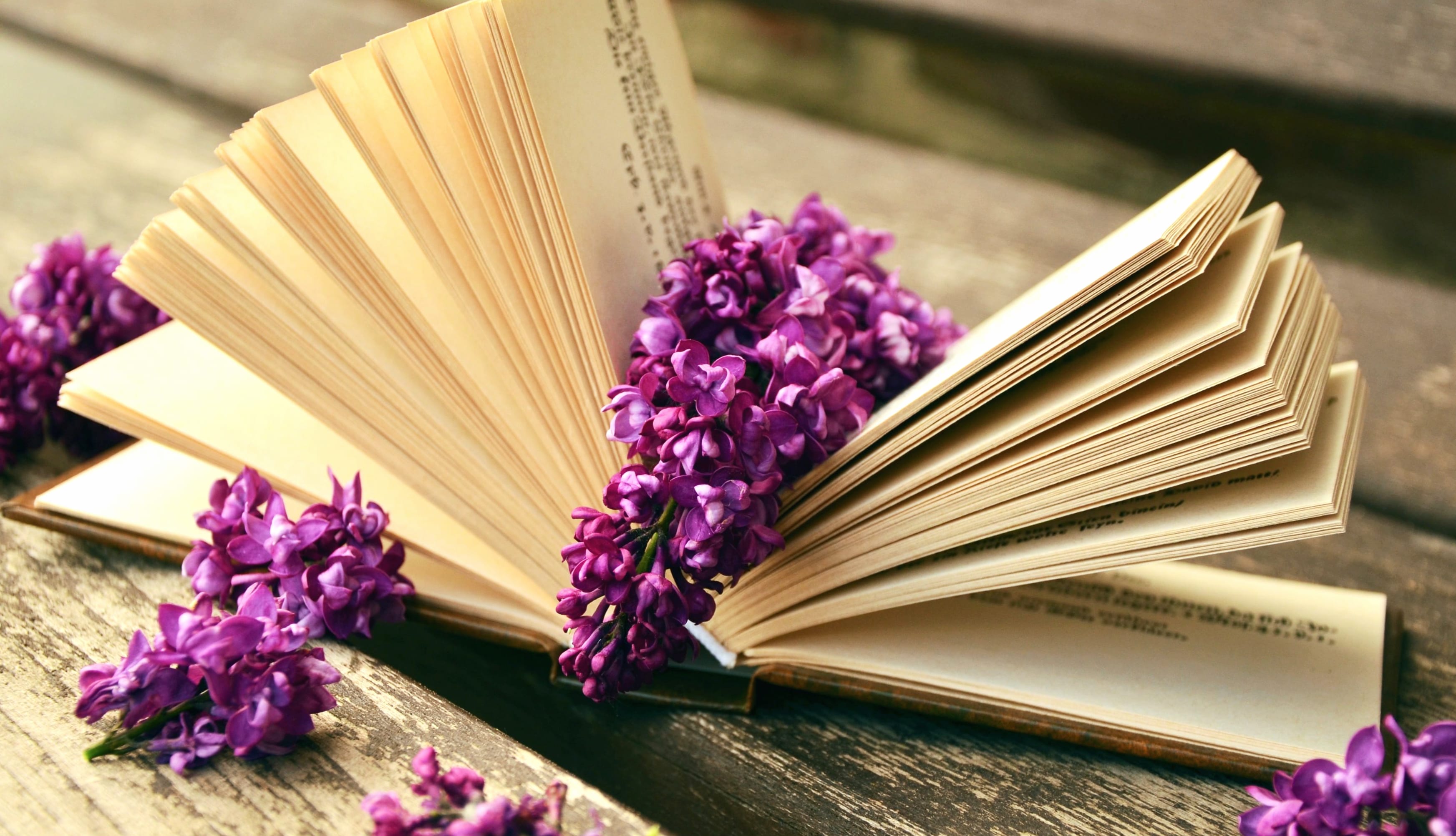 Lilac Blooms & Literature A HD Still Life at 1024 x 1024 iPad size wallpapers HD quality