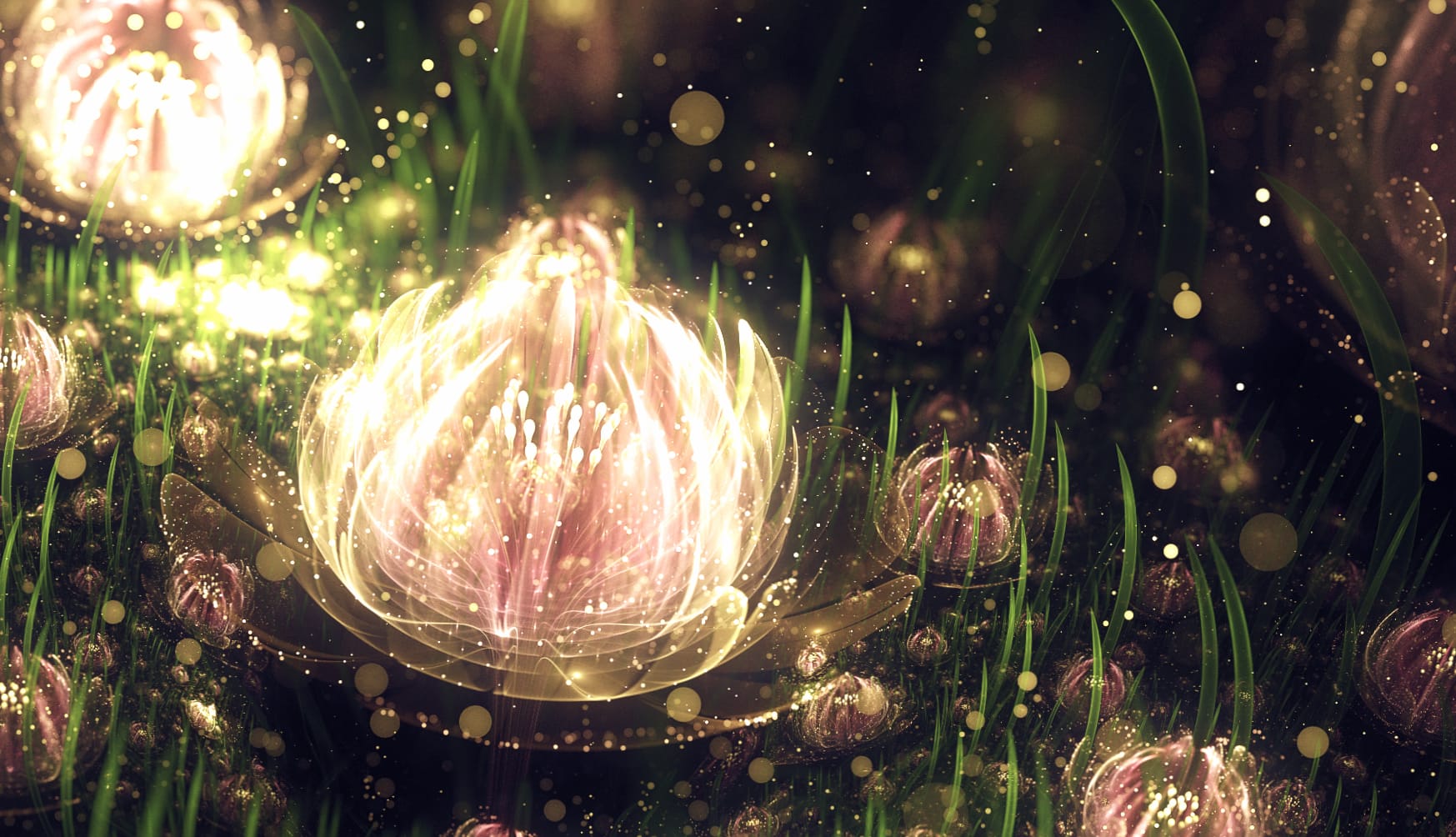 Lotus Flower Abstract Fractal at 1600 x 1200 size wallpapers HD quality