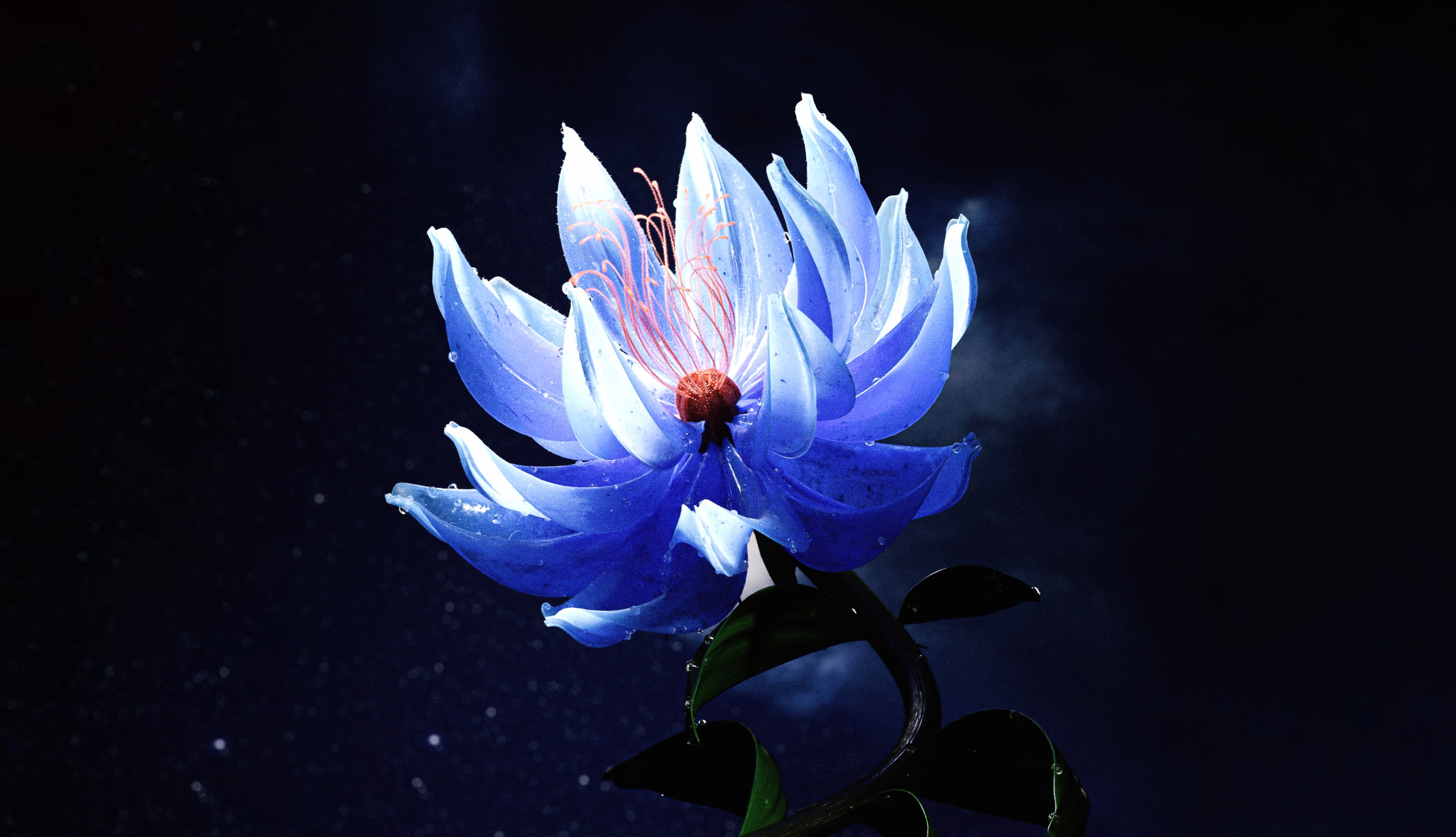 Lotus flower Blue aesthetic at 640 x 960 iPhone 4 size wallpapers HD quality