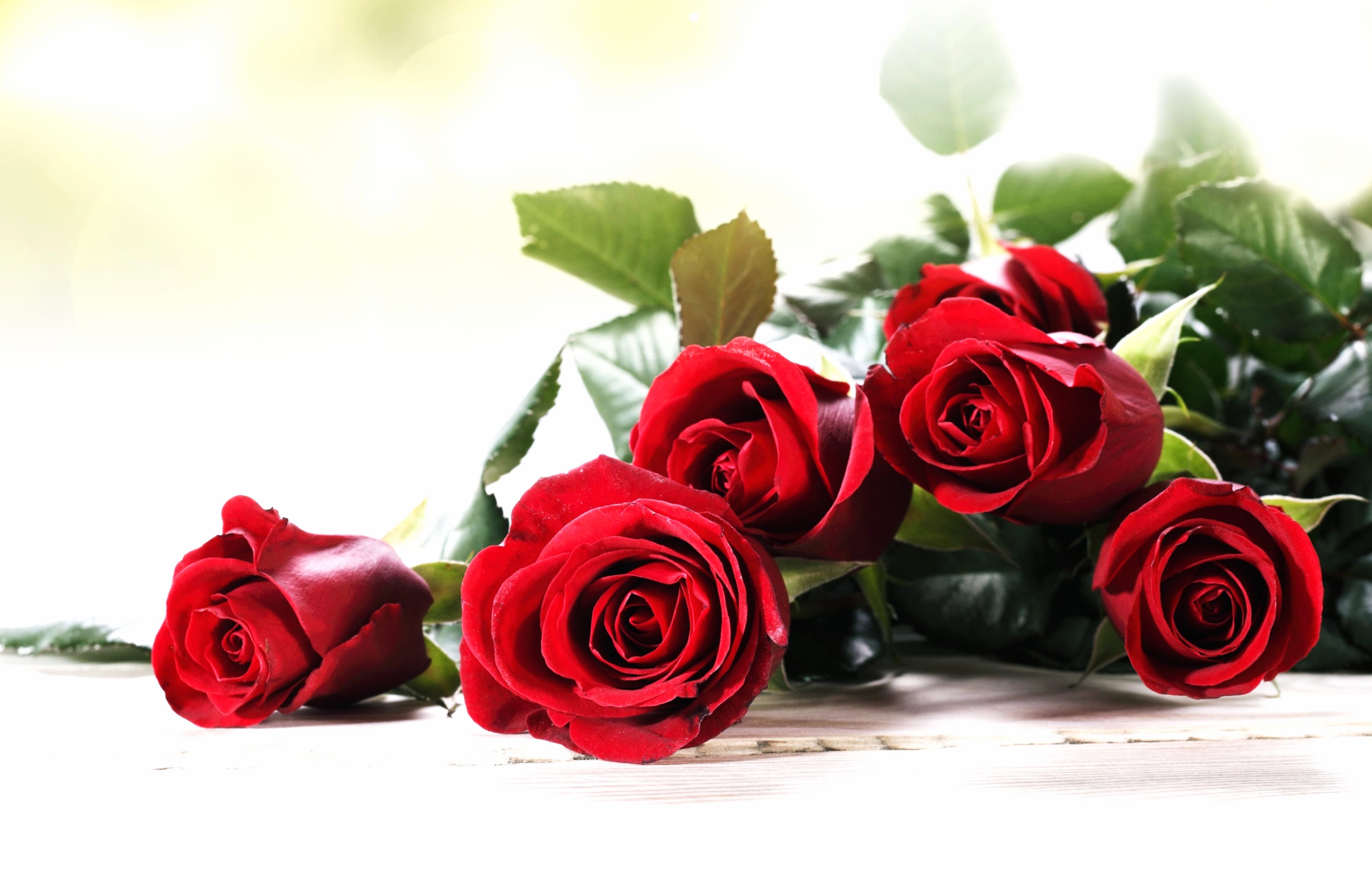 Love Bouquet Red Flower Red Rose Flower Nature Rose at 640 x 960 iPhone 4 size wallpapers HD quality