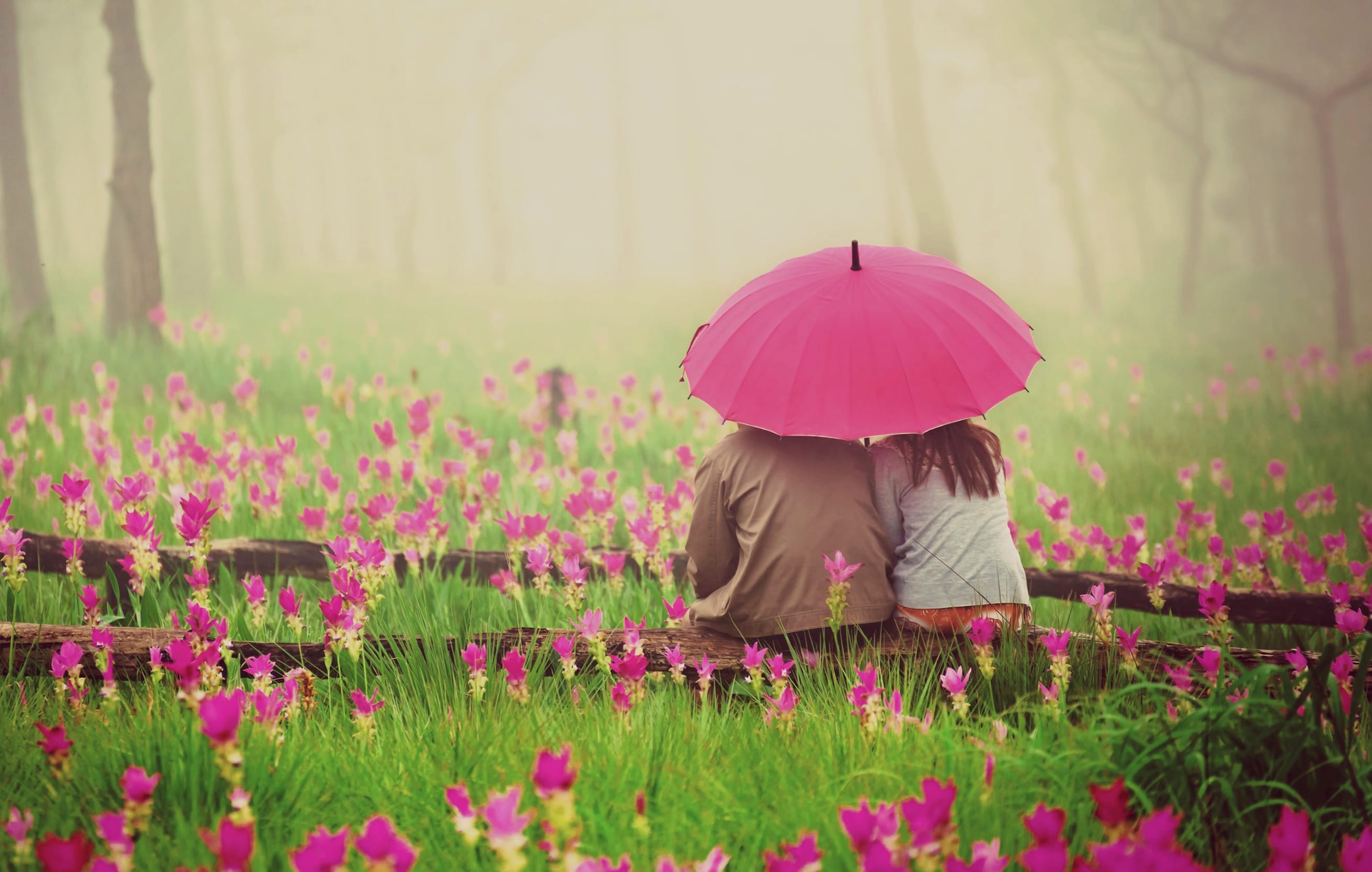 Love in Bloom A Romantic with Umbrellas and Flowers wallpapers HD quality