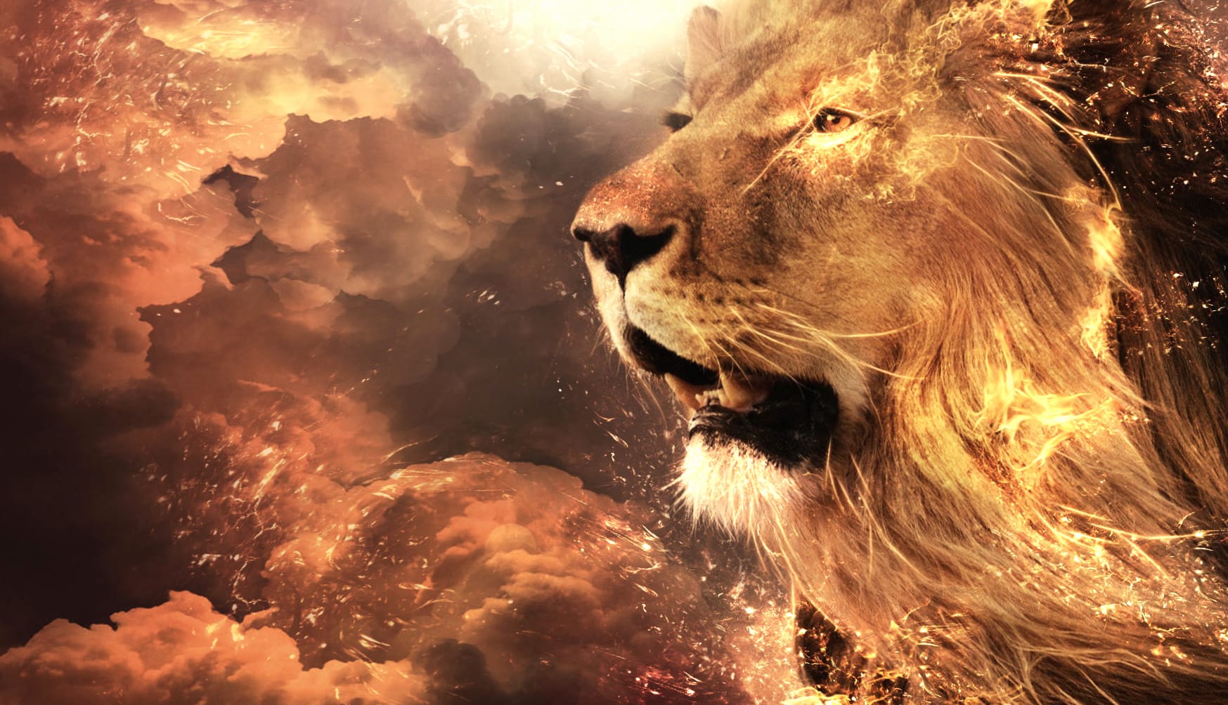 Majestic Lion in Clouds at 1536 x 864 HD size wallpapers HD quality