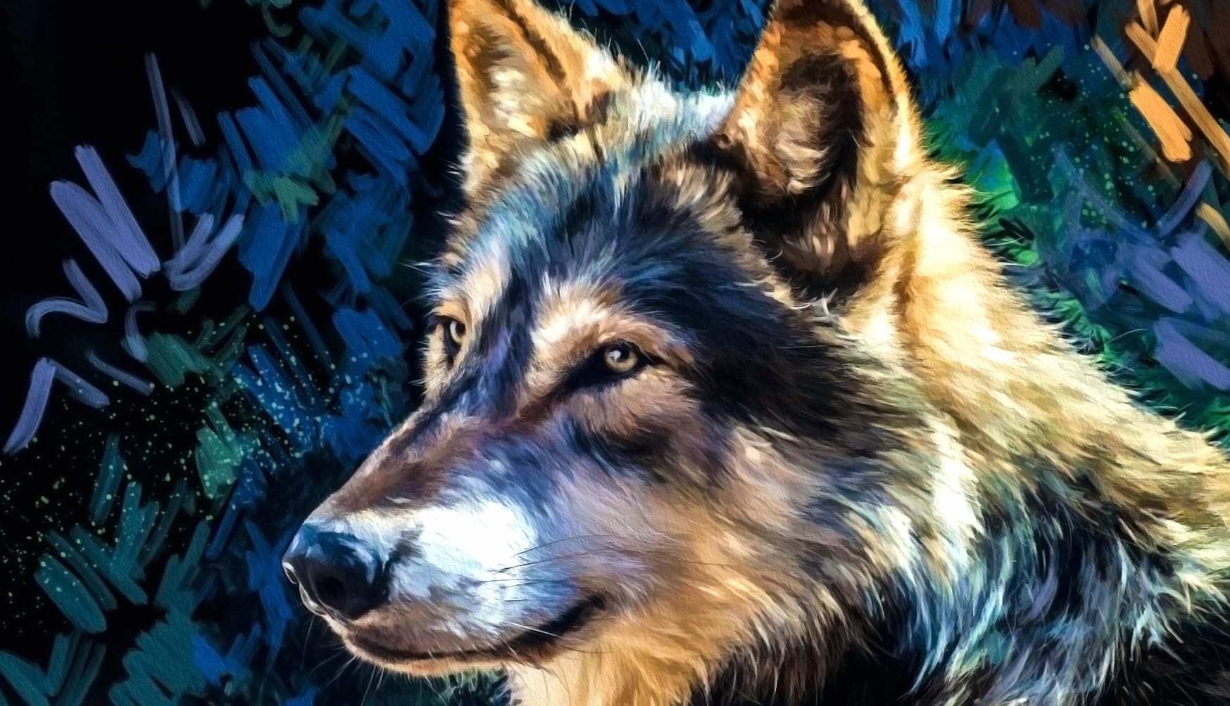 Majestic Wolf Drawing at 1280 x 720 HD size wallpapers HD quality