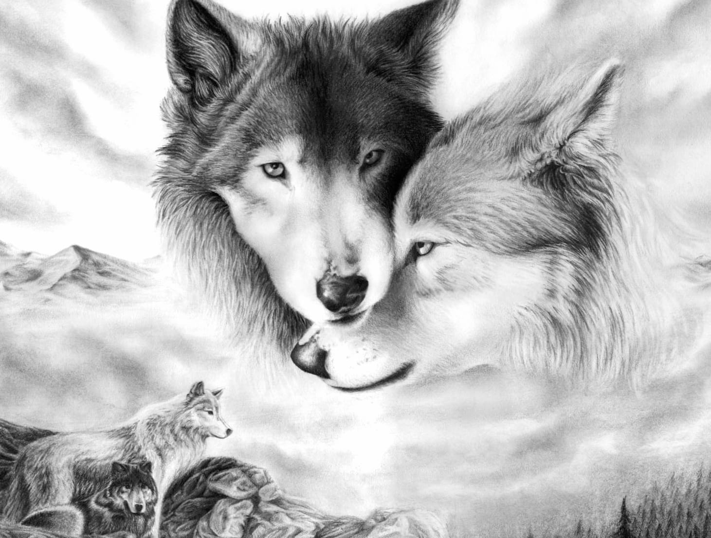 Majestic Wolf Duo at 1600 x 1200 size wallpapers HD quality