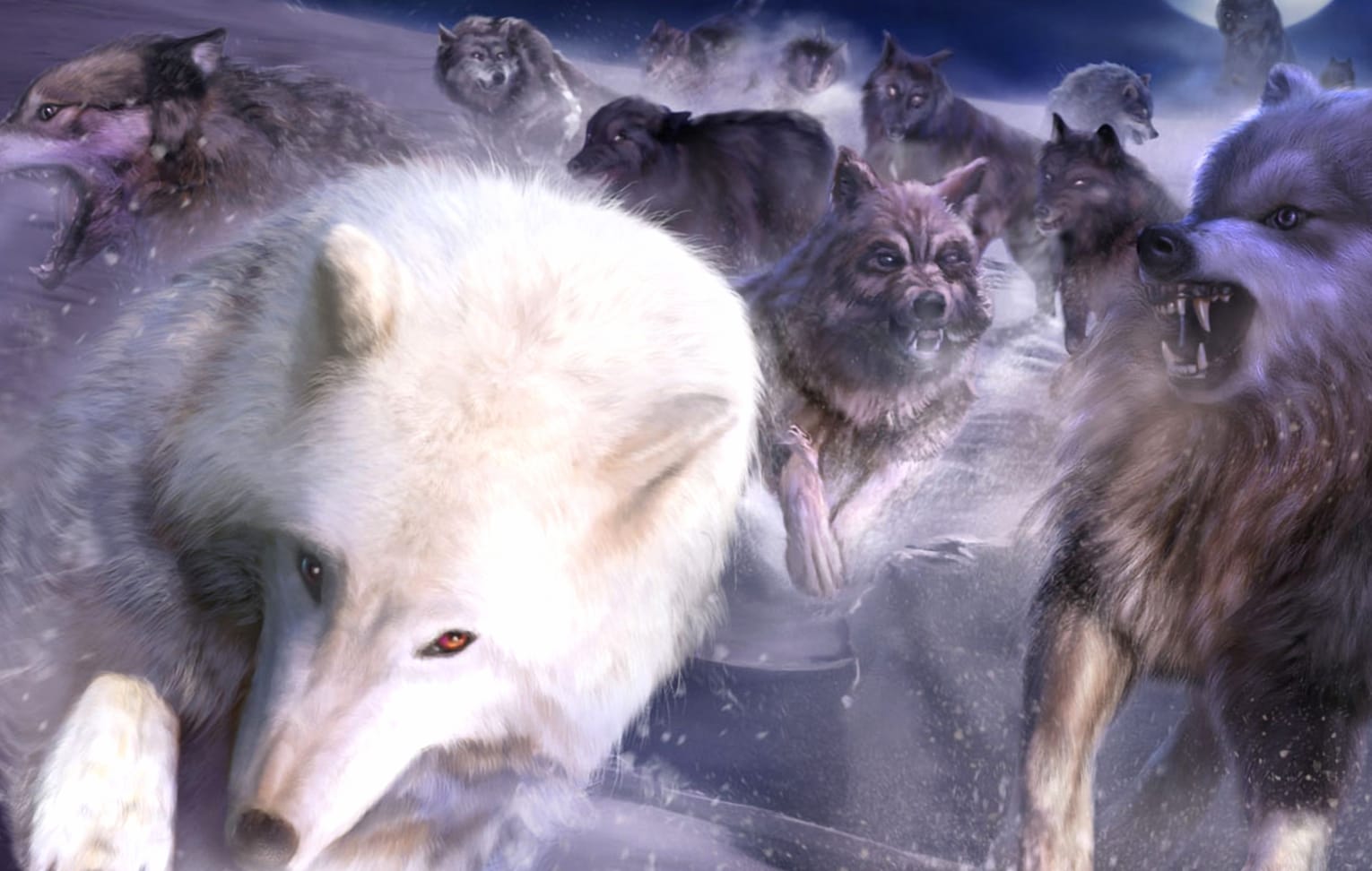 Majestic Wolves in at 640 x 960 iPhone 4 size wallpapers HD quality