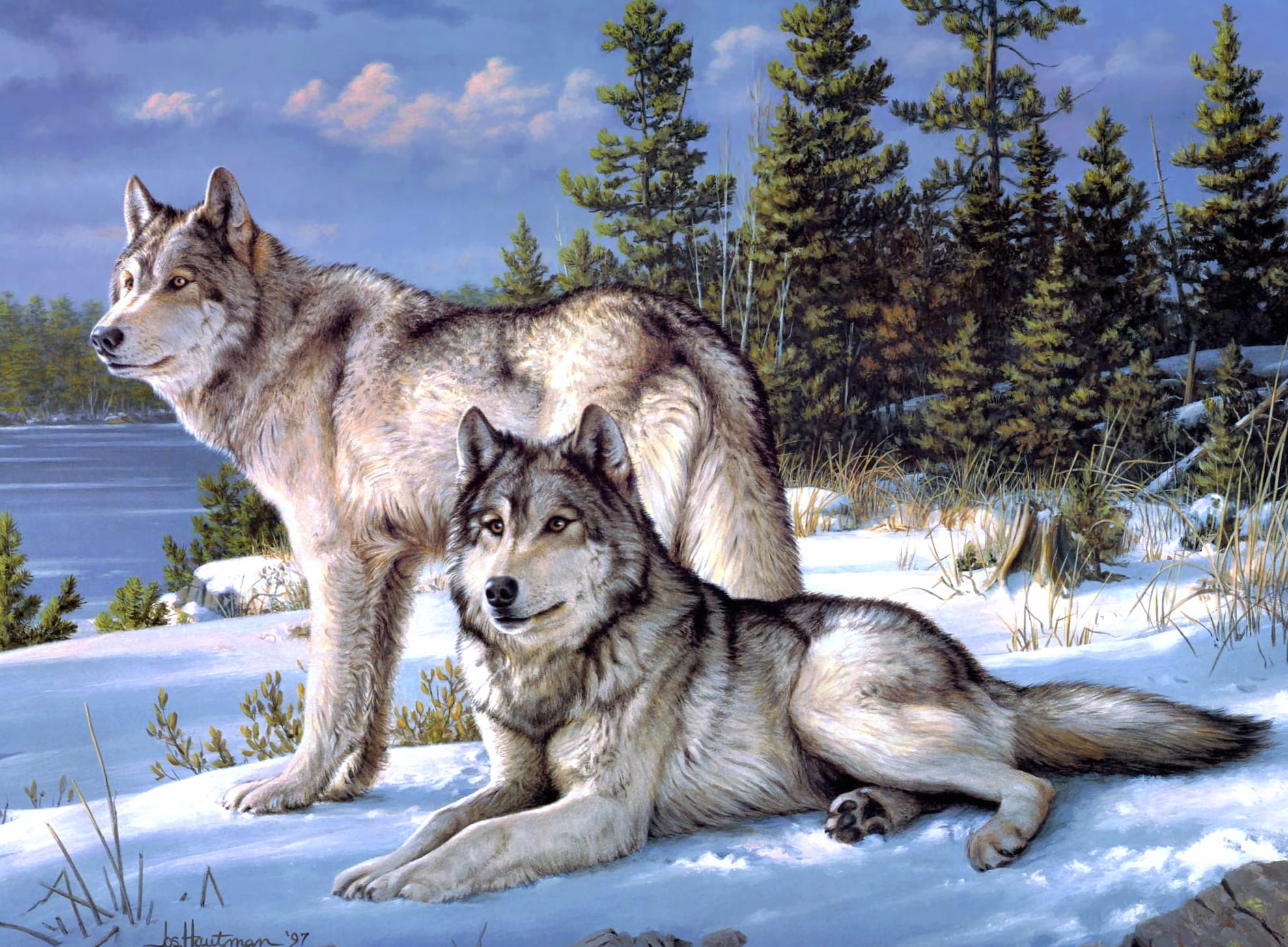 Majestic Wolves in Winter - wallpapers HD quality