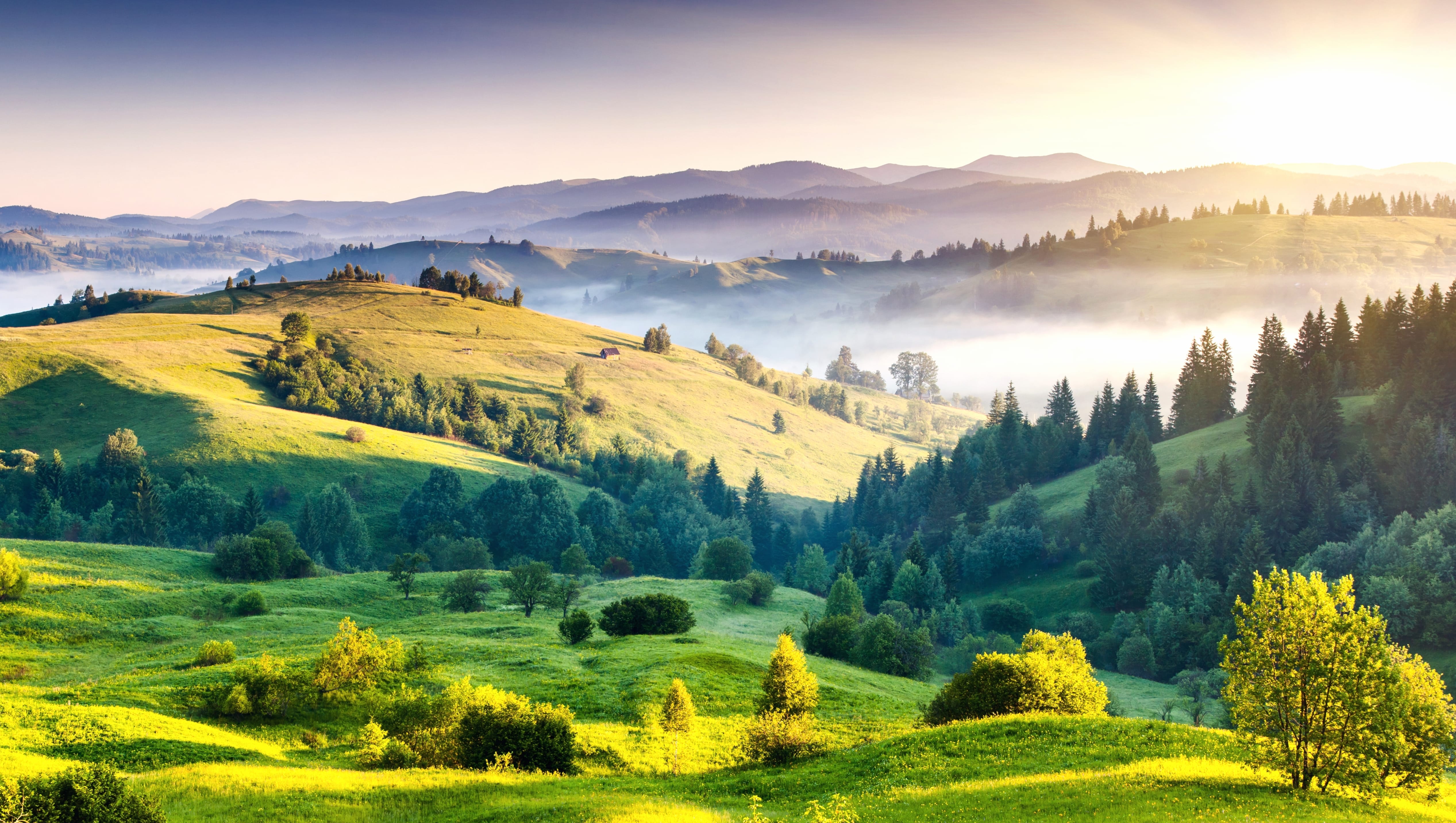 Misty Dawn in the Hills - HD Landscape wallpapers HD quality