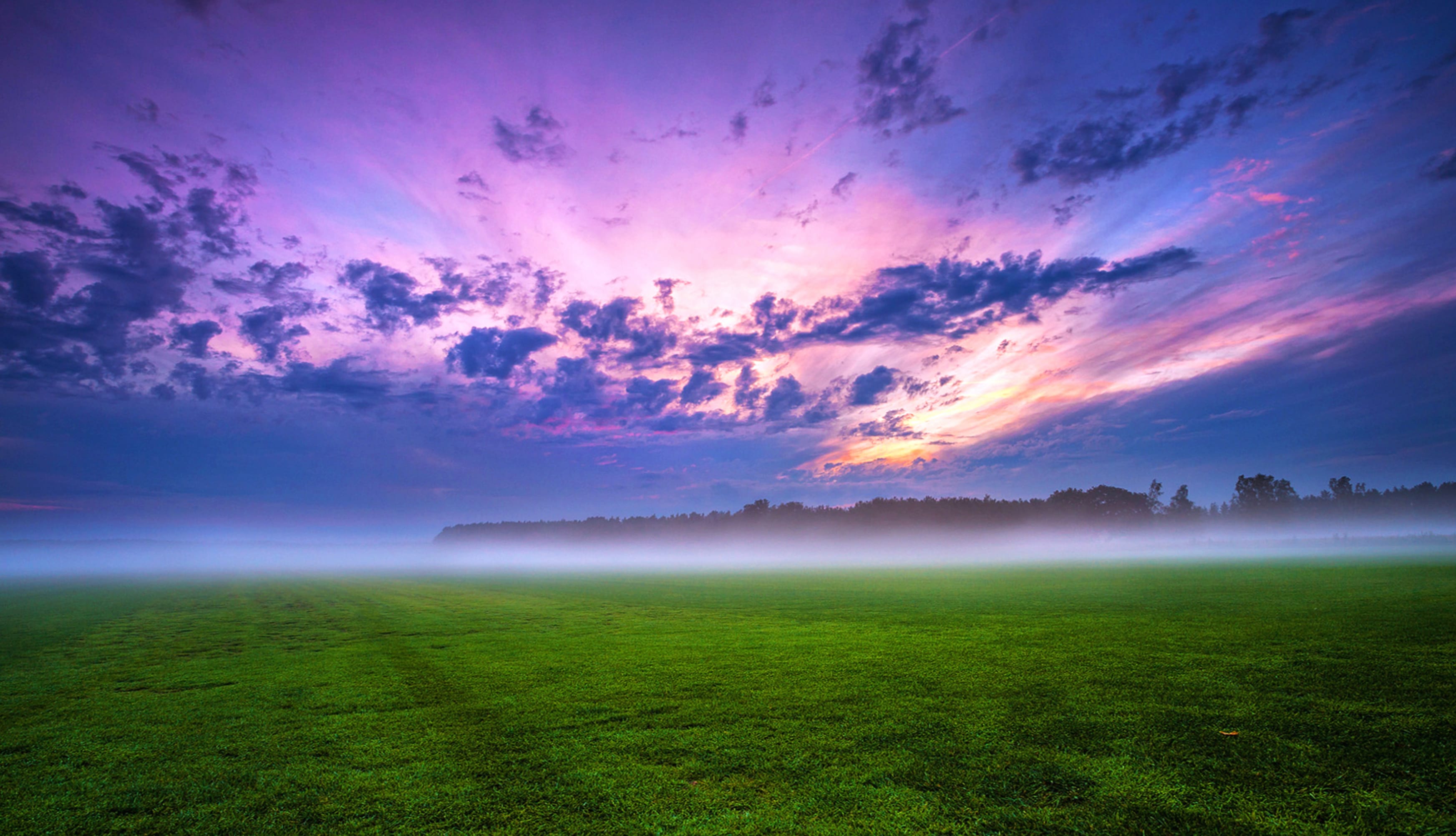 Misty Sunrise in Meadow - at 1600 x 1200 size wallpapers HD quality