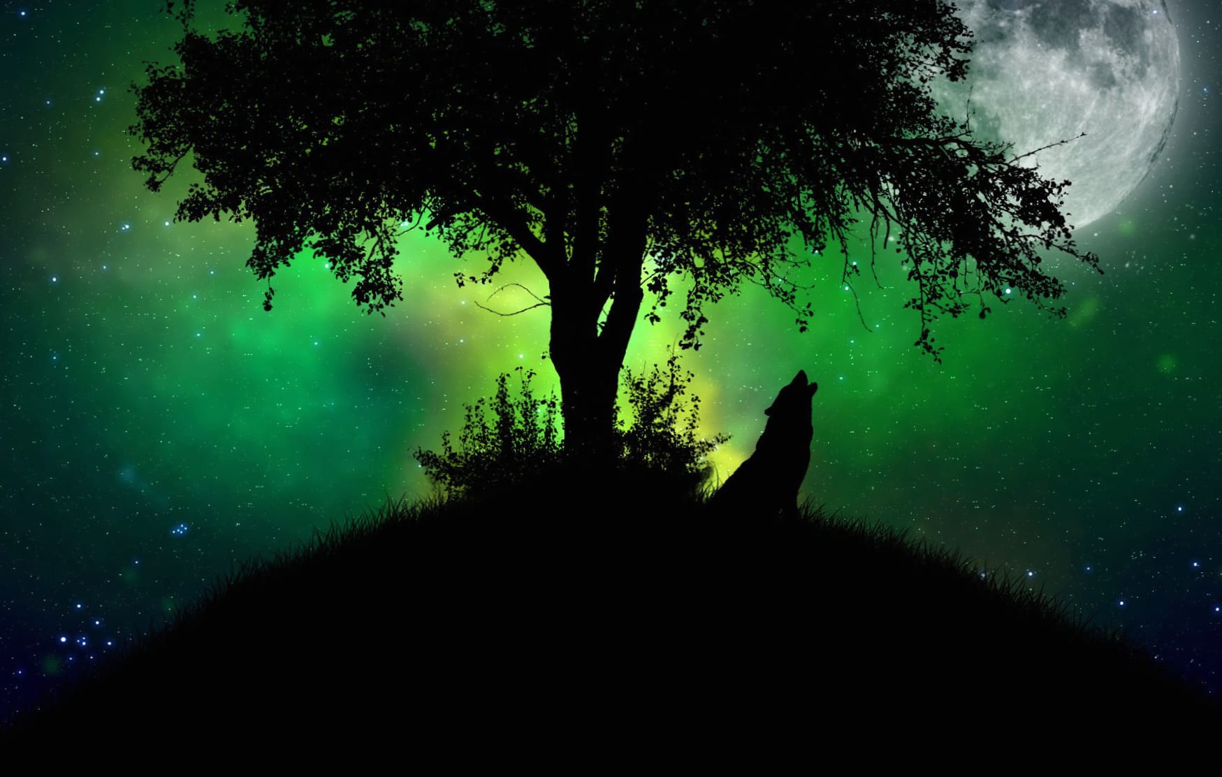 Moonlit Wolf wallpapers HD Moonlit Wolf wallpapers HD quality