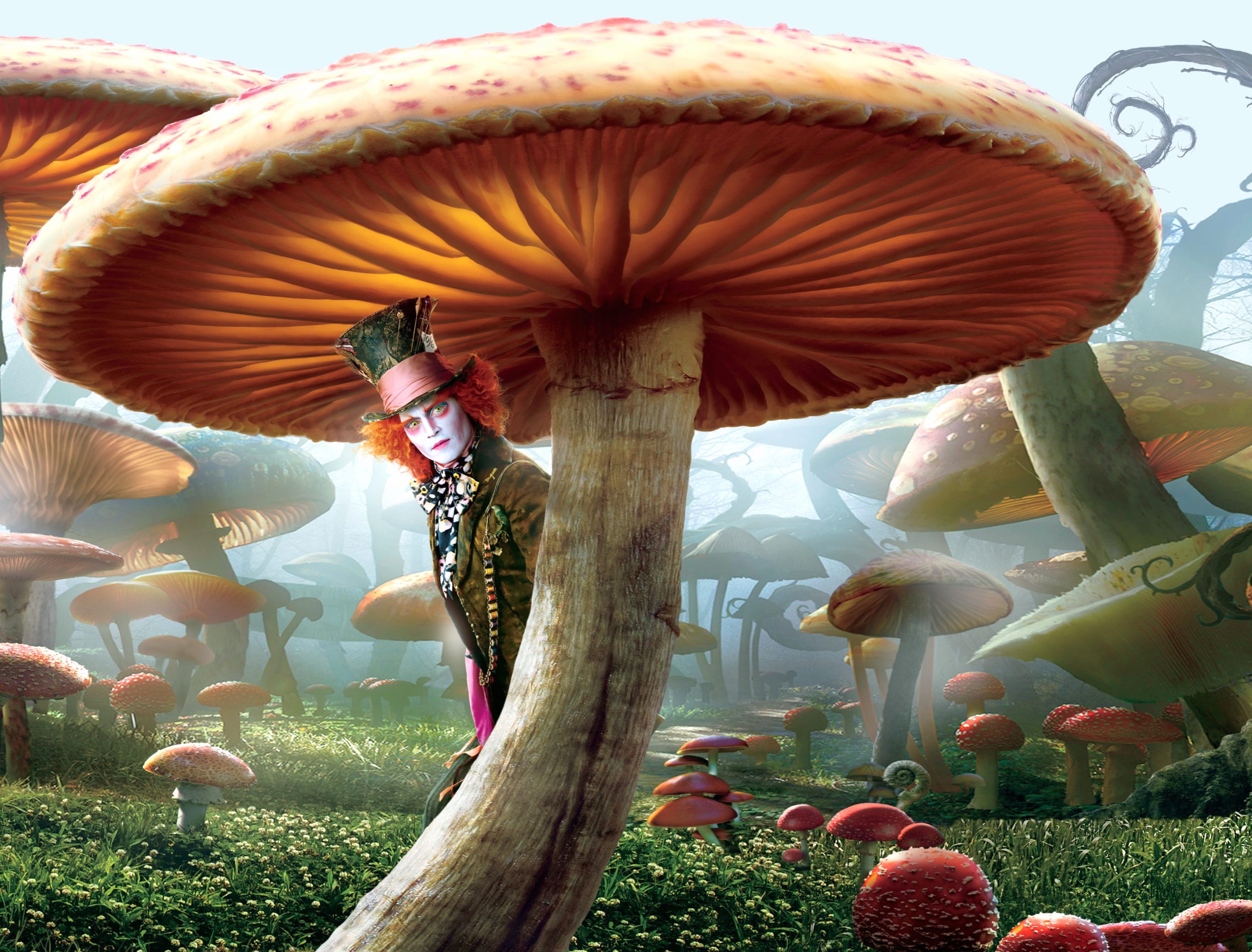 Mushroom Fantasy Mad Hatter Johnny Depp Movie Alice In Wonderland (2010) wallpapers HD quality