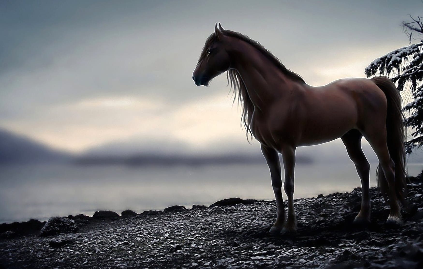 Mystic Horse at 750 x 1334 iPhone 6 size wallpapers HD quality