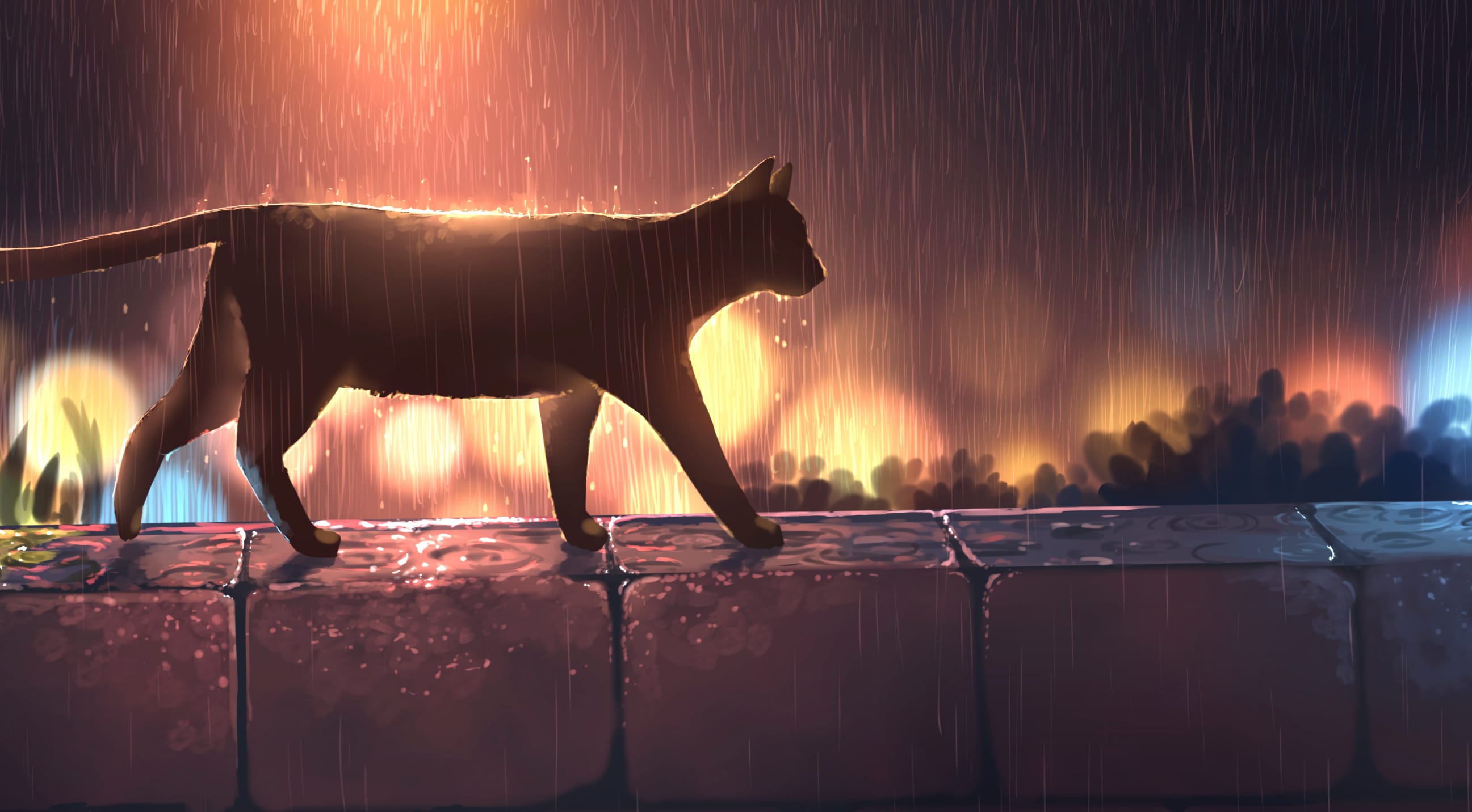 Night Rain Cat Anime wallpapers HD quality