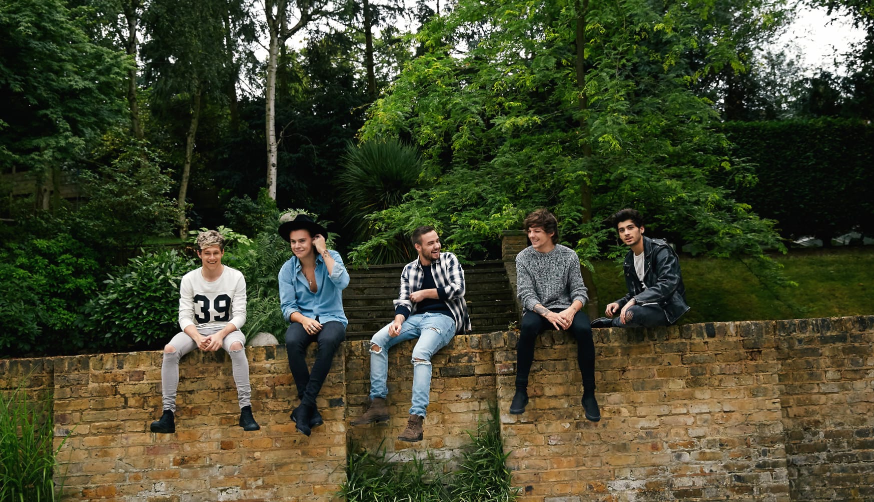 One Direction Music in Nature wallpapers HD quality