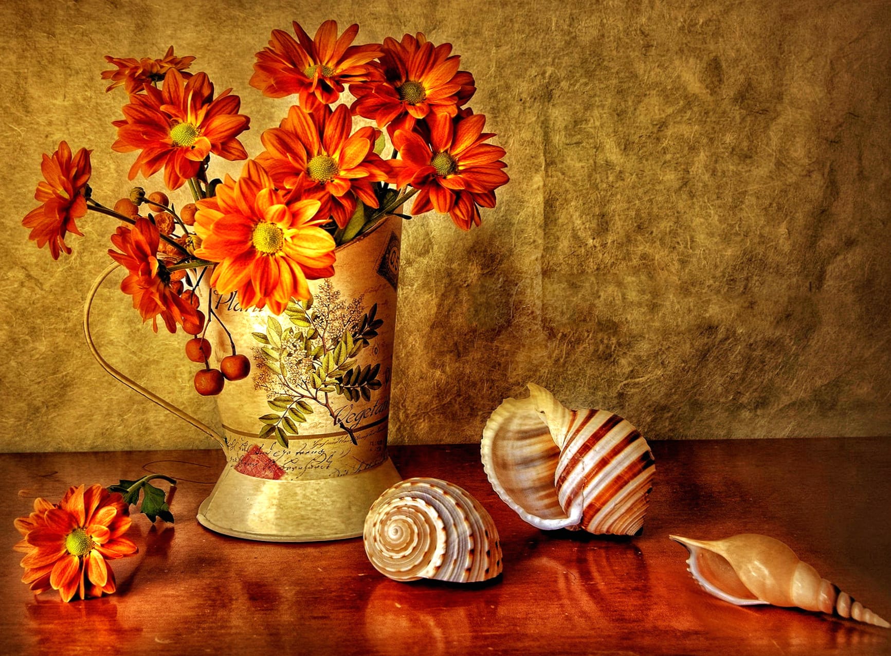 Orange Blossom & Shells wallpapers HD quality