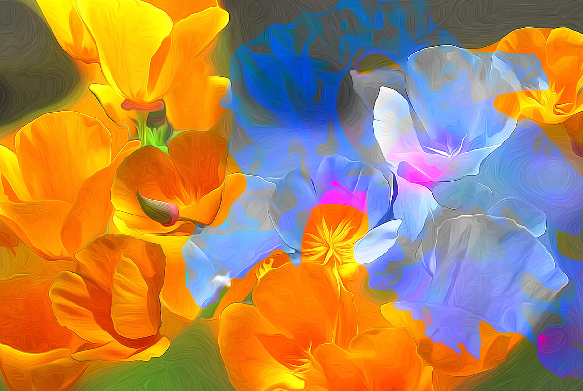 Orange Flower Blue Flower Artistic Flower at 1024 x 1024 iPad size wallpapers HD quality