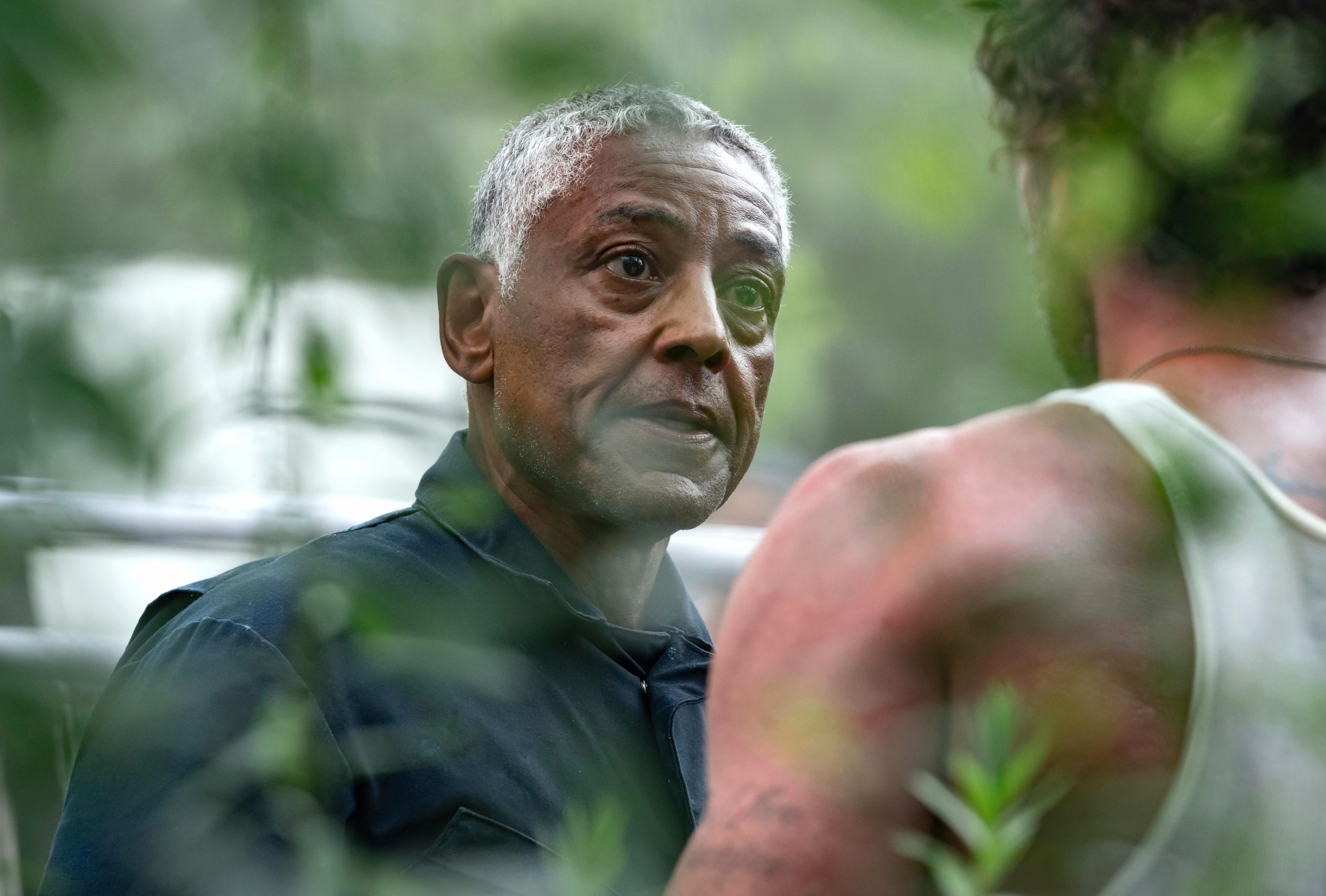 Parish 2024 Featuring Giancarlo Esposito wallpapers HD quality