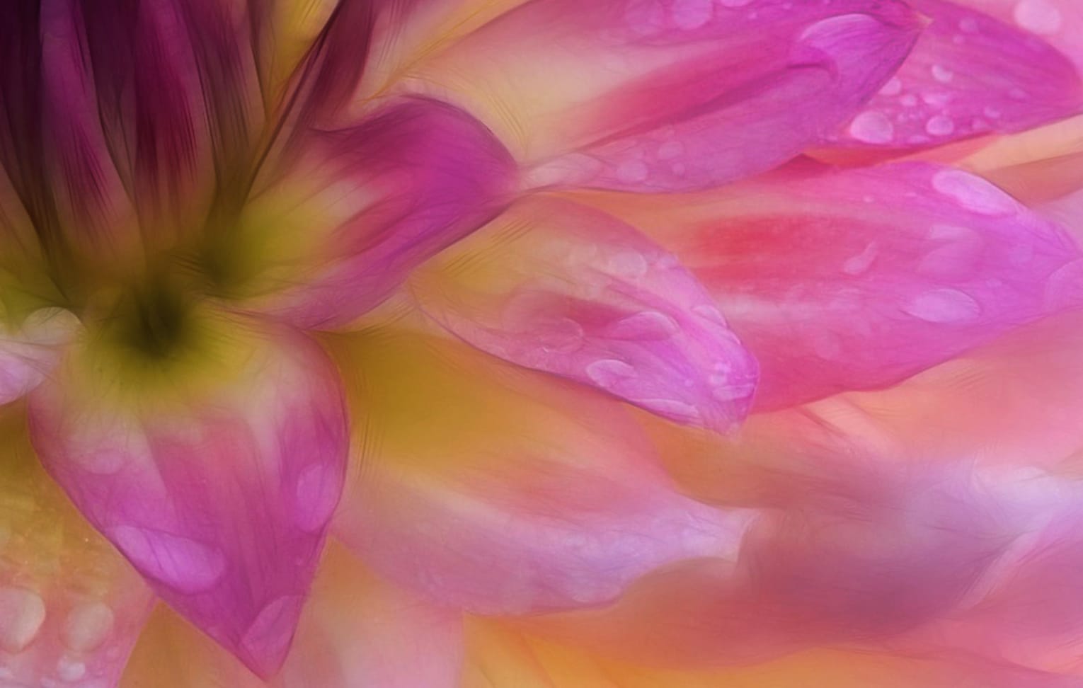 Pastel Artistic Flower wallpapers HD quality