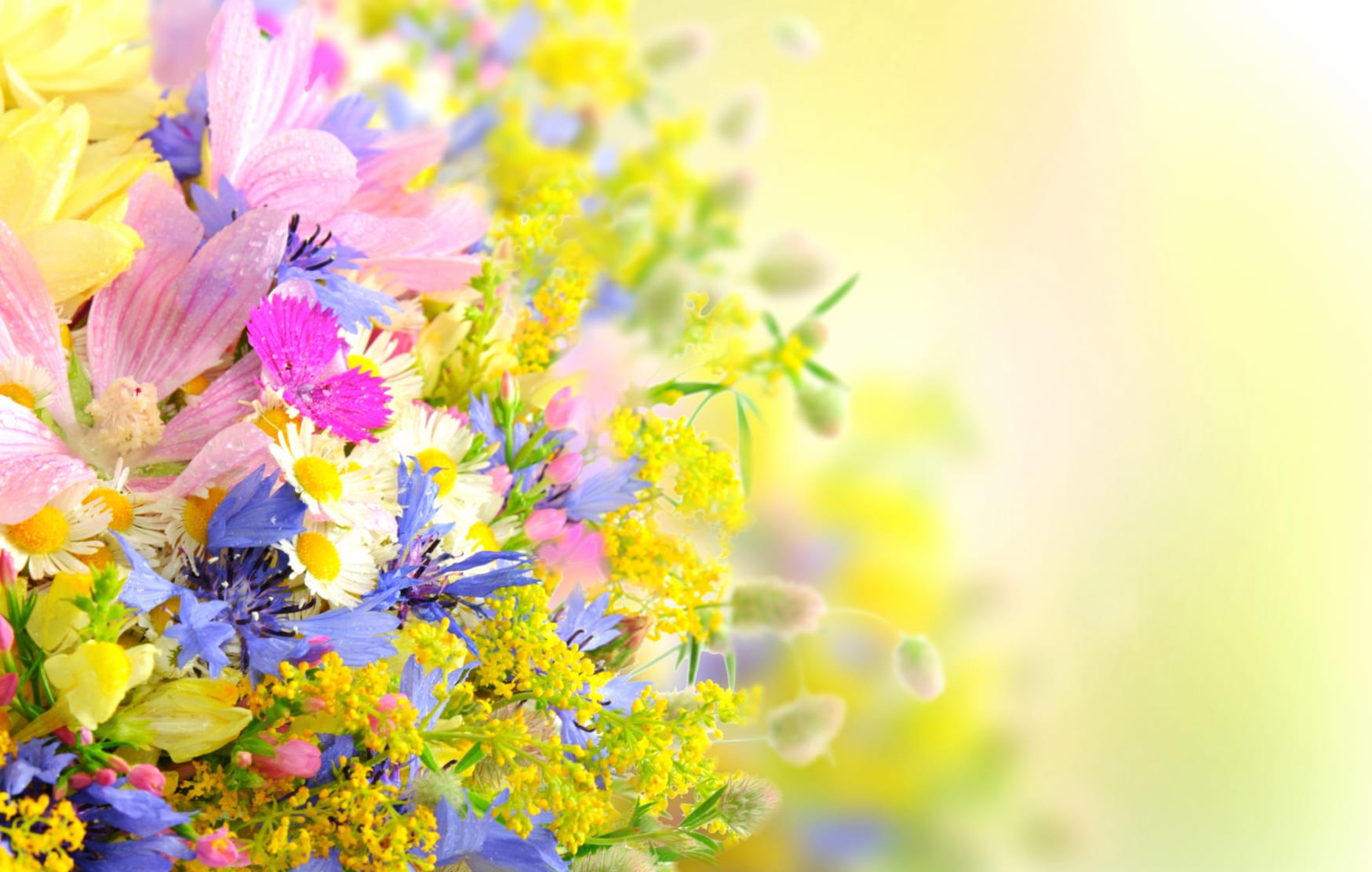 Pastel Flower Bliss - wallpapers HD quality