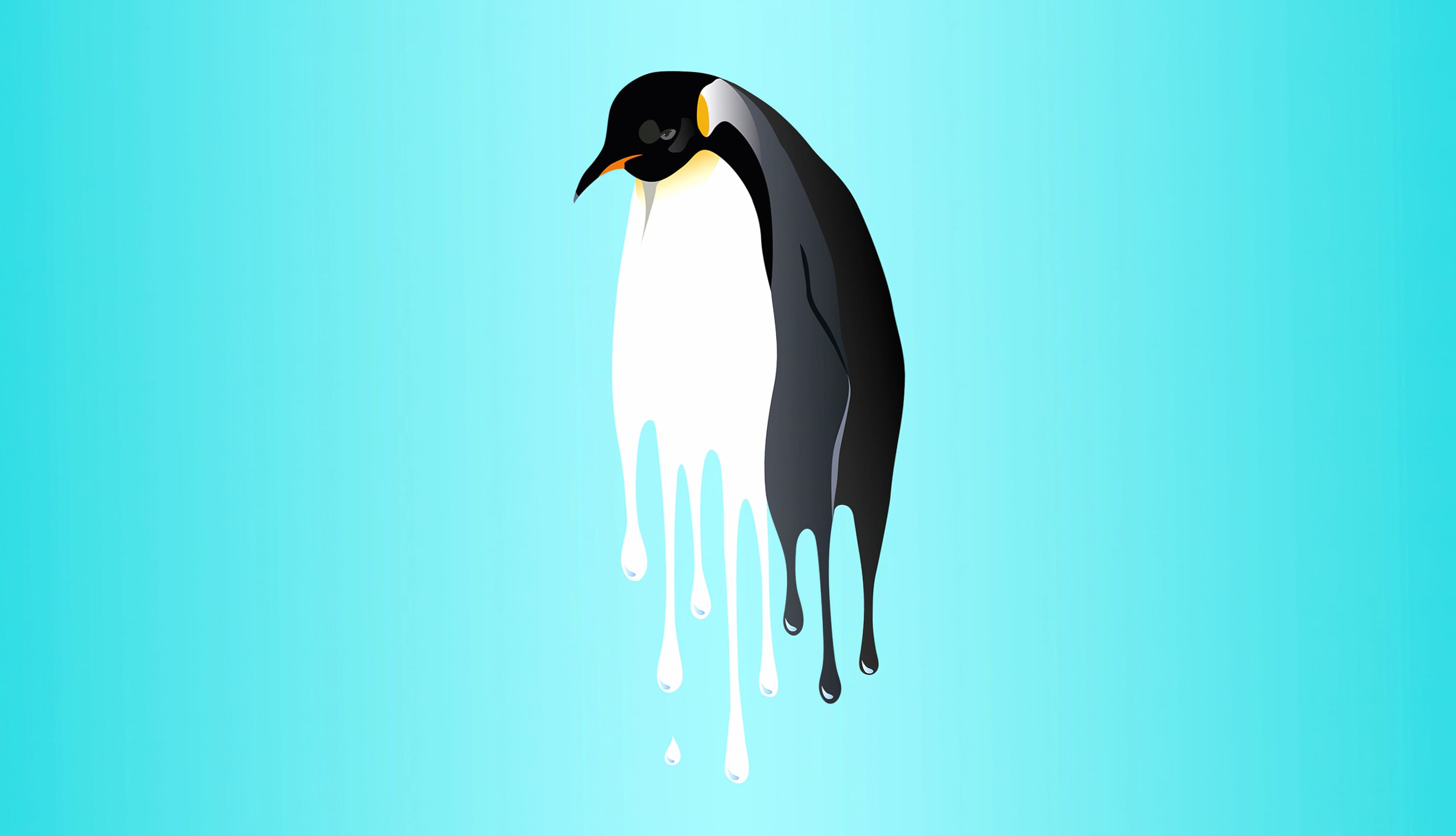 Penguin Drippy wallpapers HD quality