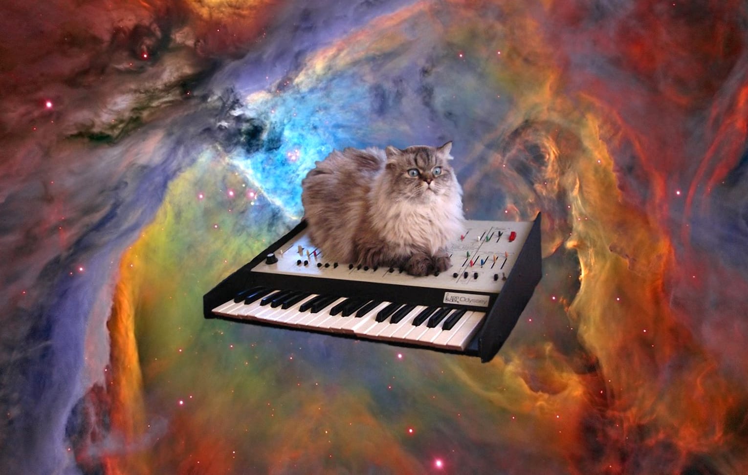 Piano Space Animal Cat Wallpaper wallpapers HD quality