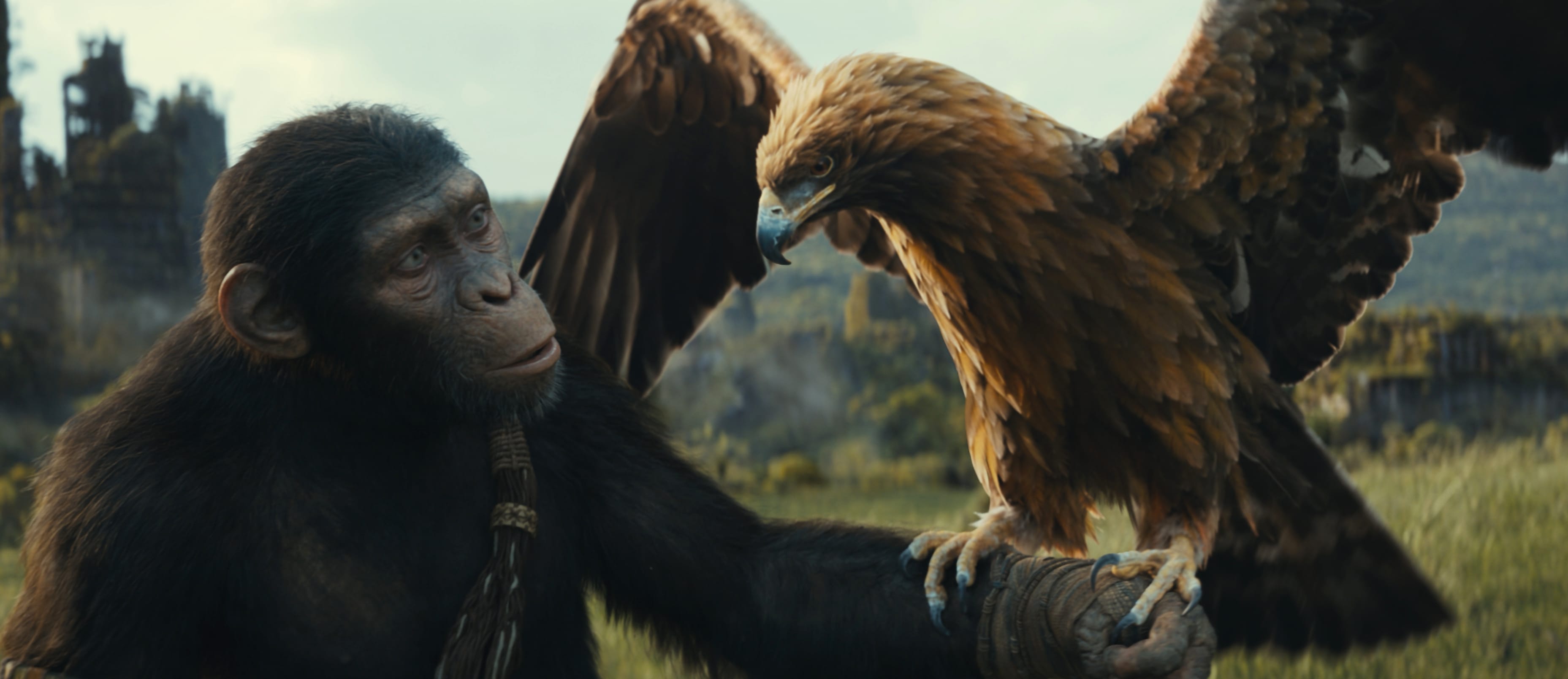 Planet of the Apes Kingdom - Ape & Eagle Alliance wallpapers HD quality