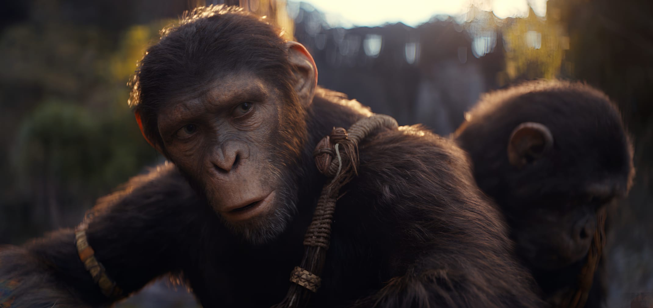 Planet of the Apes Movie - Primate Uprising wallpapers HD quality