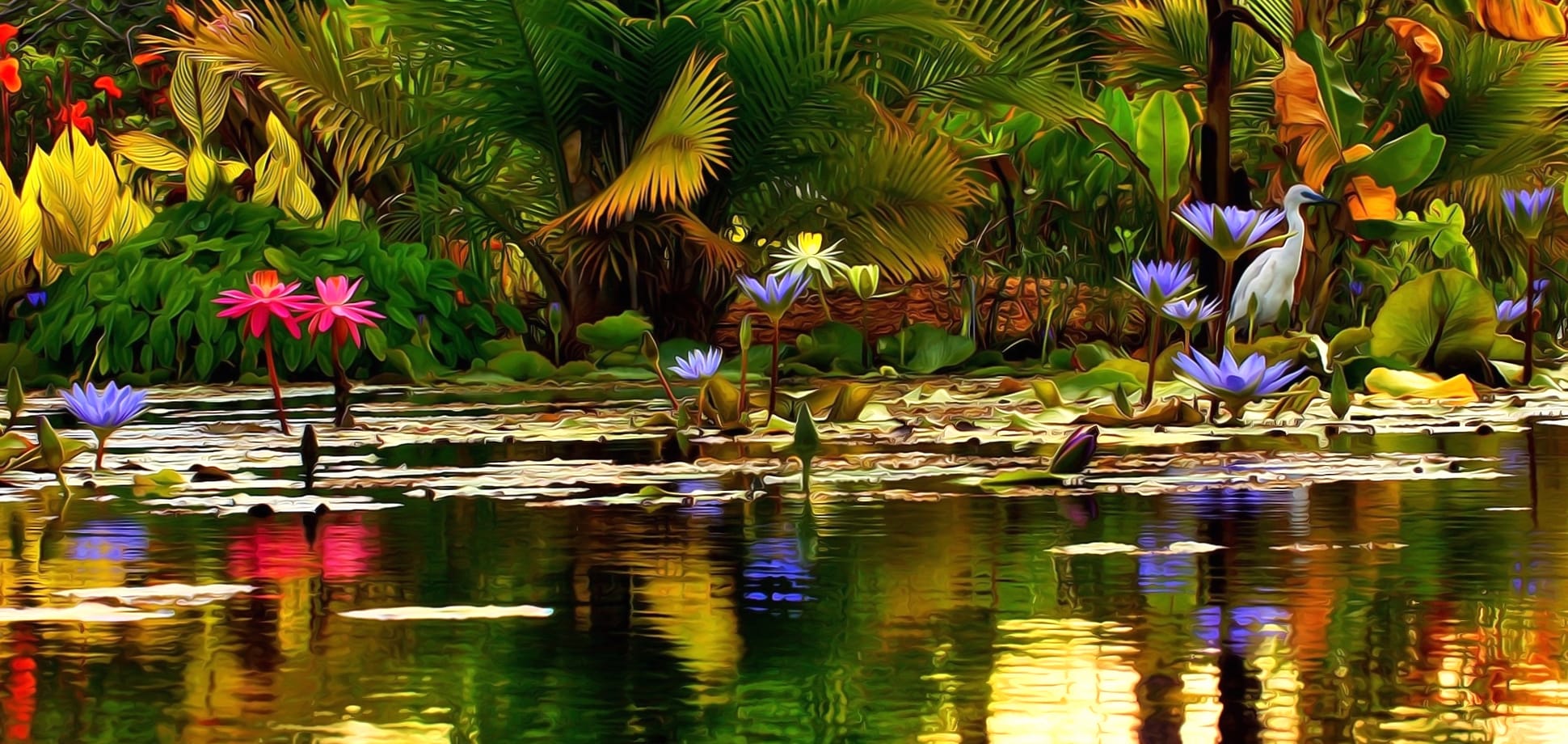 Plant Bird Lotus Flower Spring Pond Nature Lake Wallpaper at 2560 x 1440 HD size wallpapers HD quality