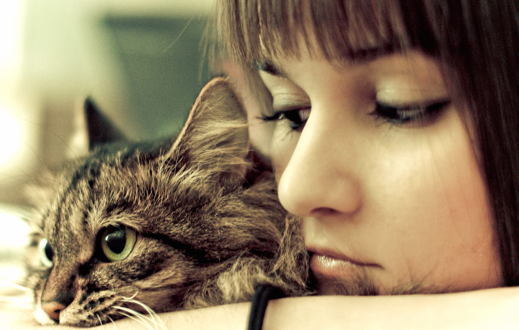 Pretty Cat and Woman at 1920 x 1080 HD size wallpapers HD quality