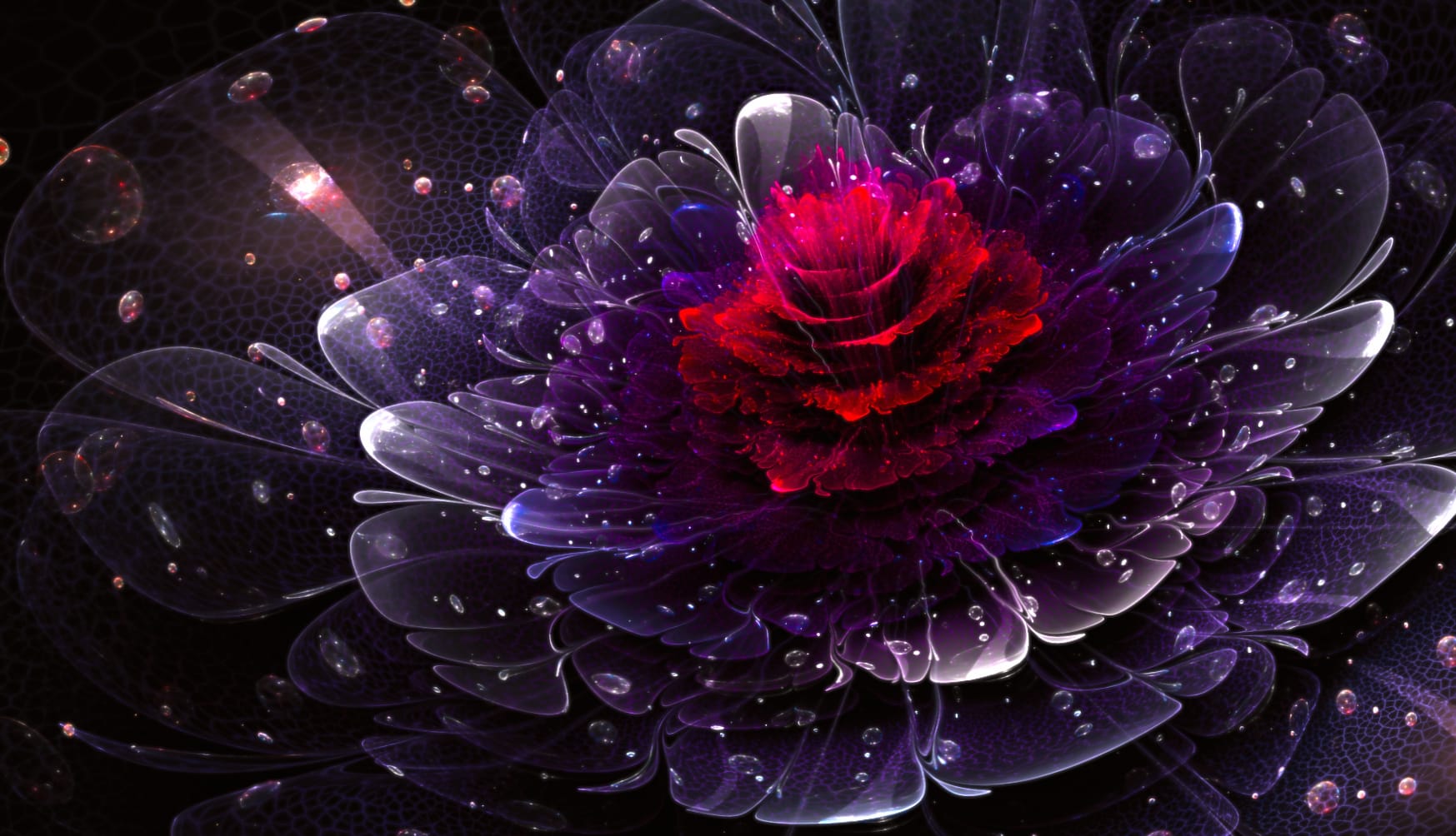 Psychedelic Fractal Flower A Stunning wallpapers HD quality