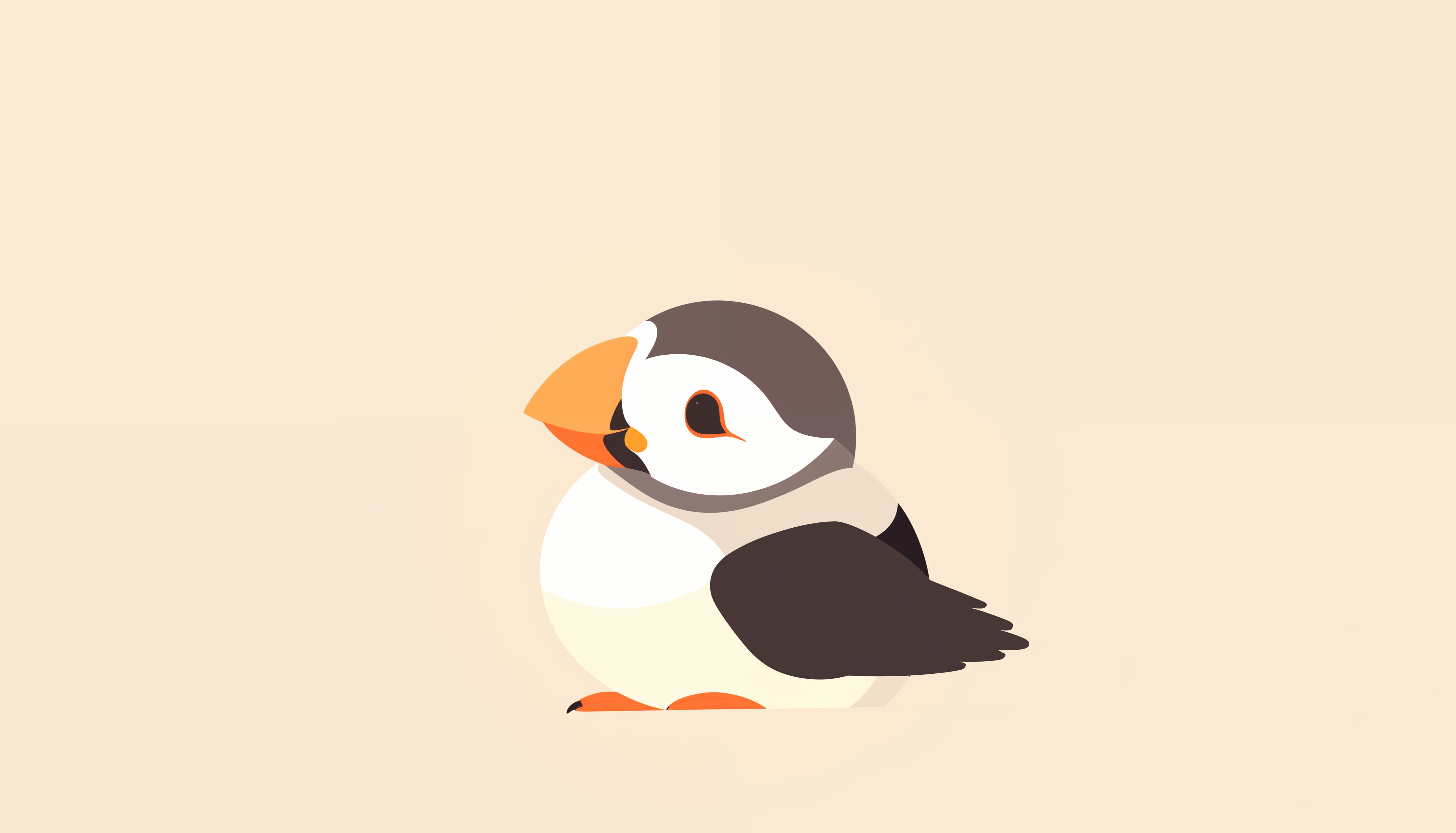 Puffin Perfection Minimalist HD Bird Wallpaper wallpapers HD Puffin Perfection Minimalist HD Bird Wallpaper wallpapers HD quality