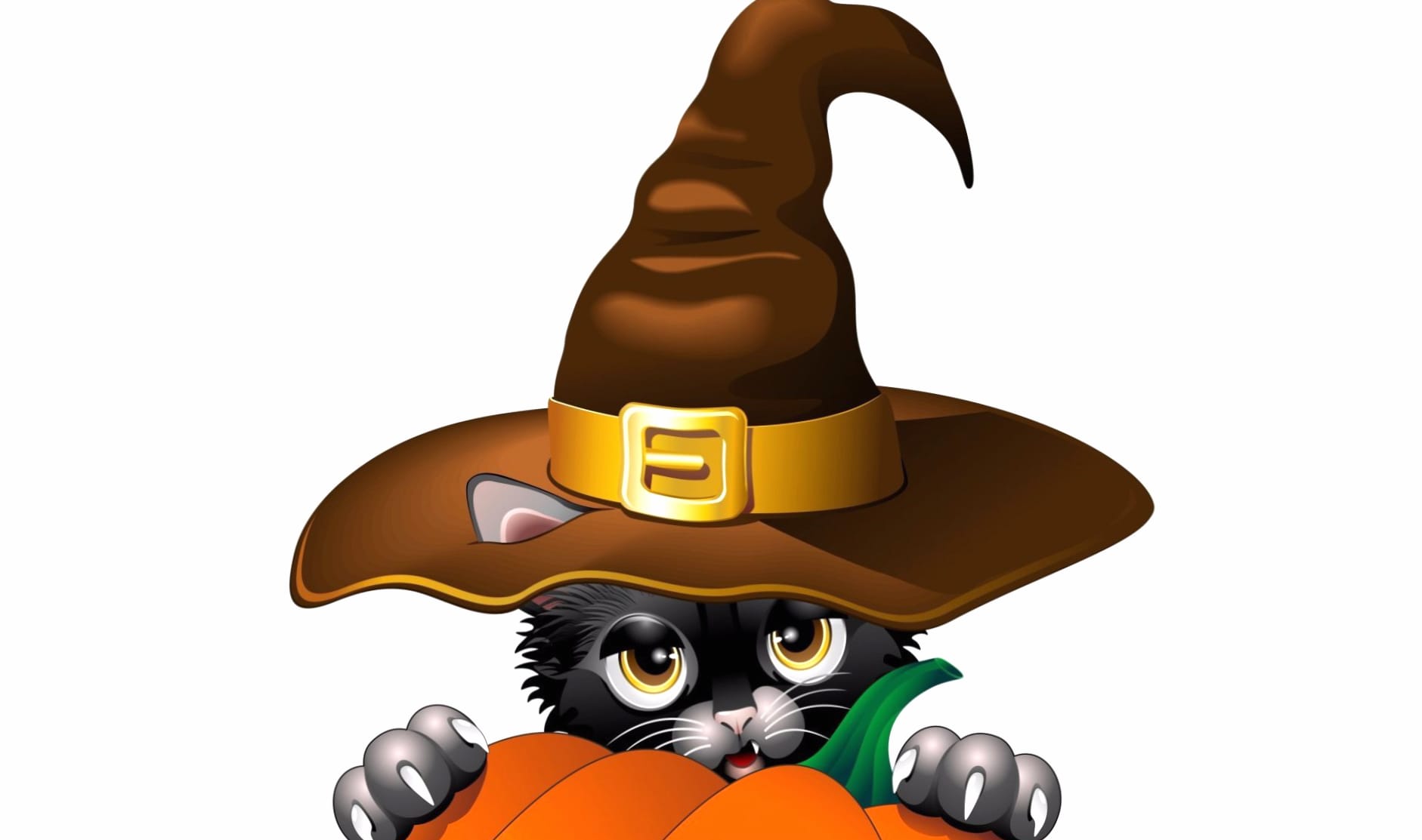 Pumpkin Kitten Cat Holiday Halloween wallpapers HD quality