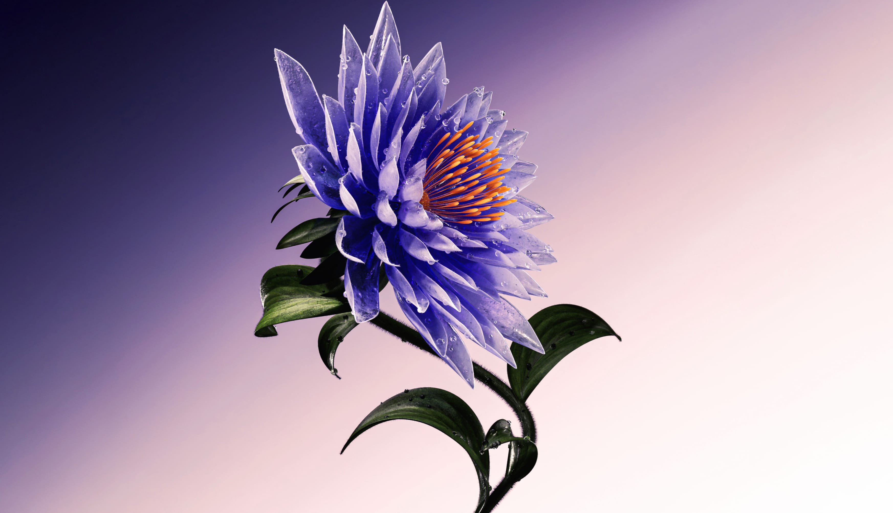 Purple Flower Artistic at 1600 x 1200 size wallpapers HD quality