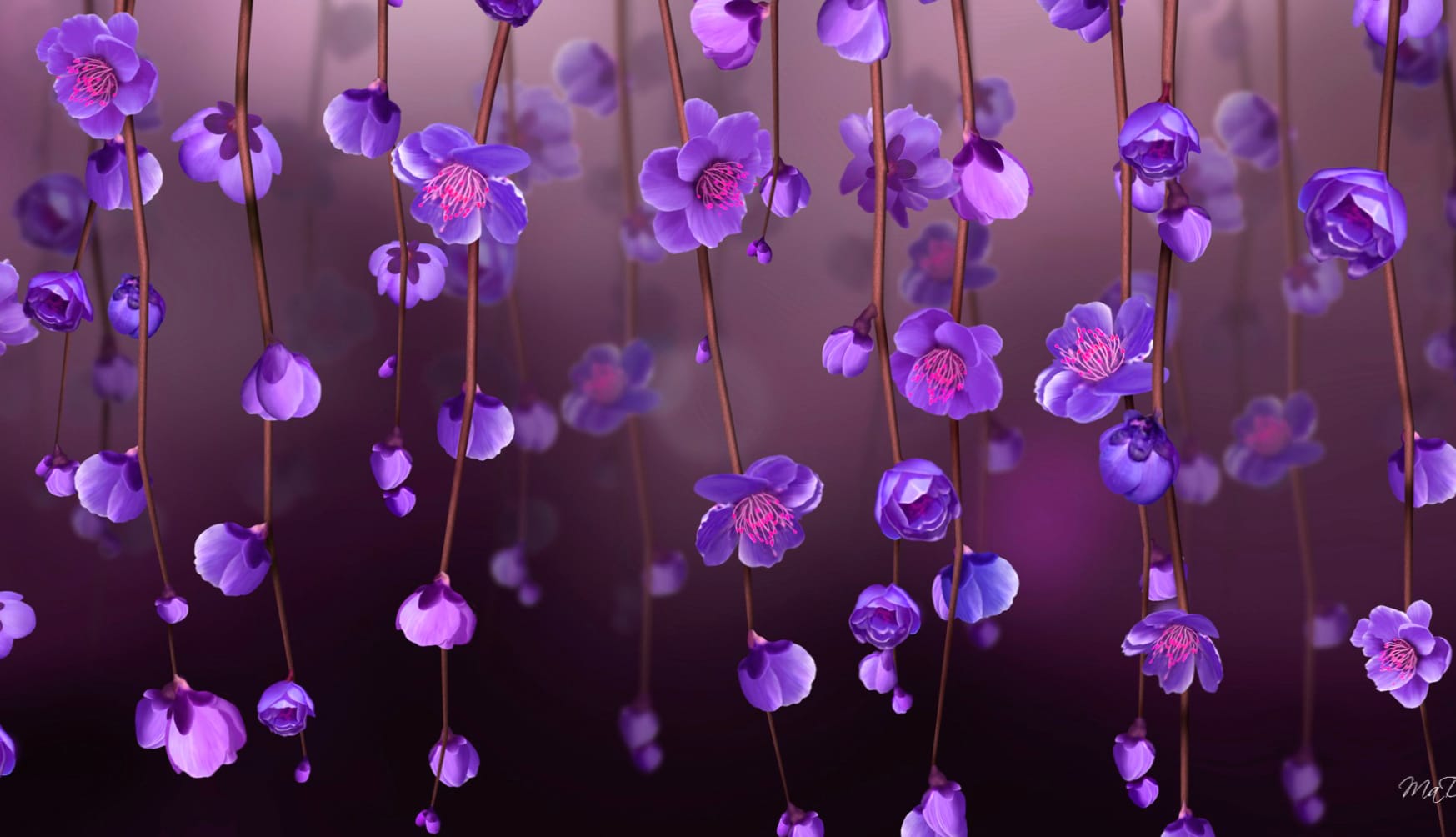 Purple Vine Bloom at 1366 x 768 HD size wallpapers HD quality