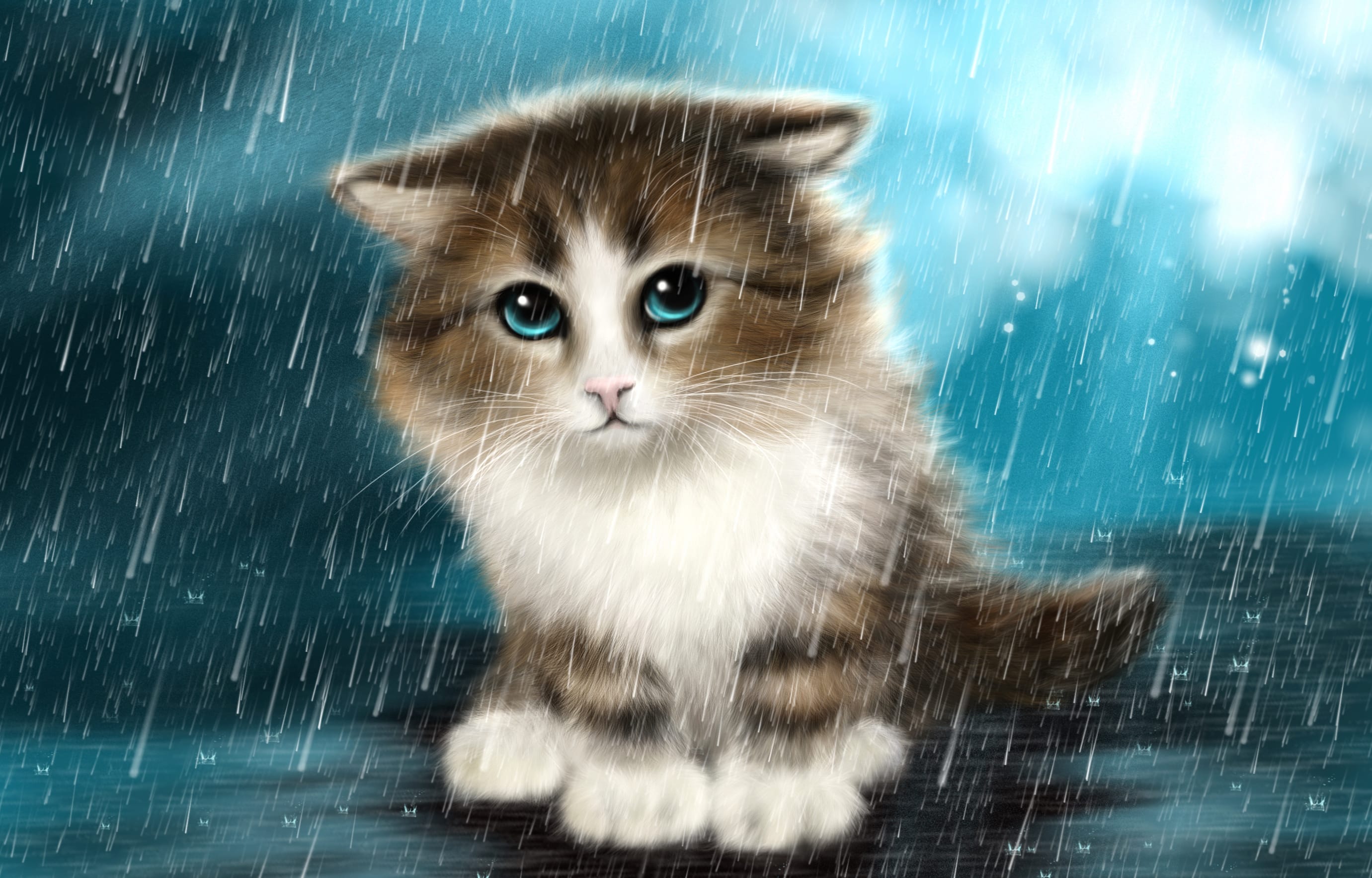 Rain Blue Eyes Kitten Painting Animal Cat wallpapers HD quality