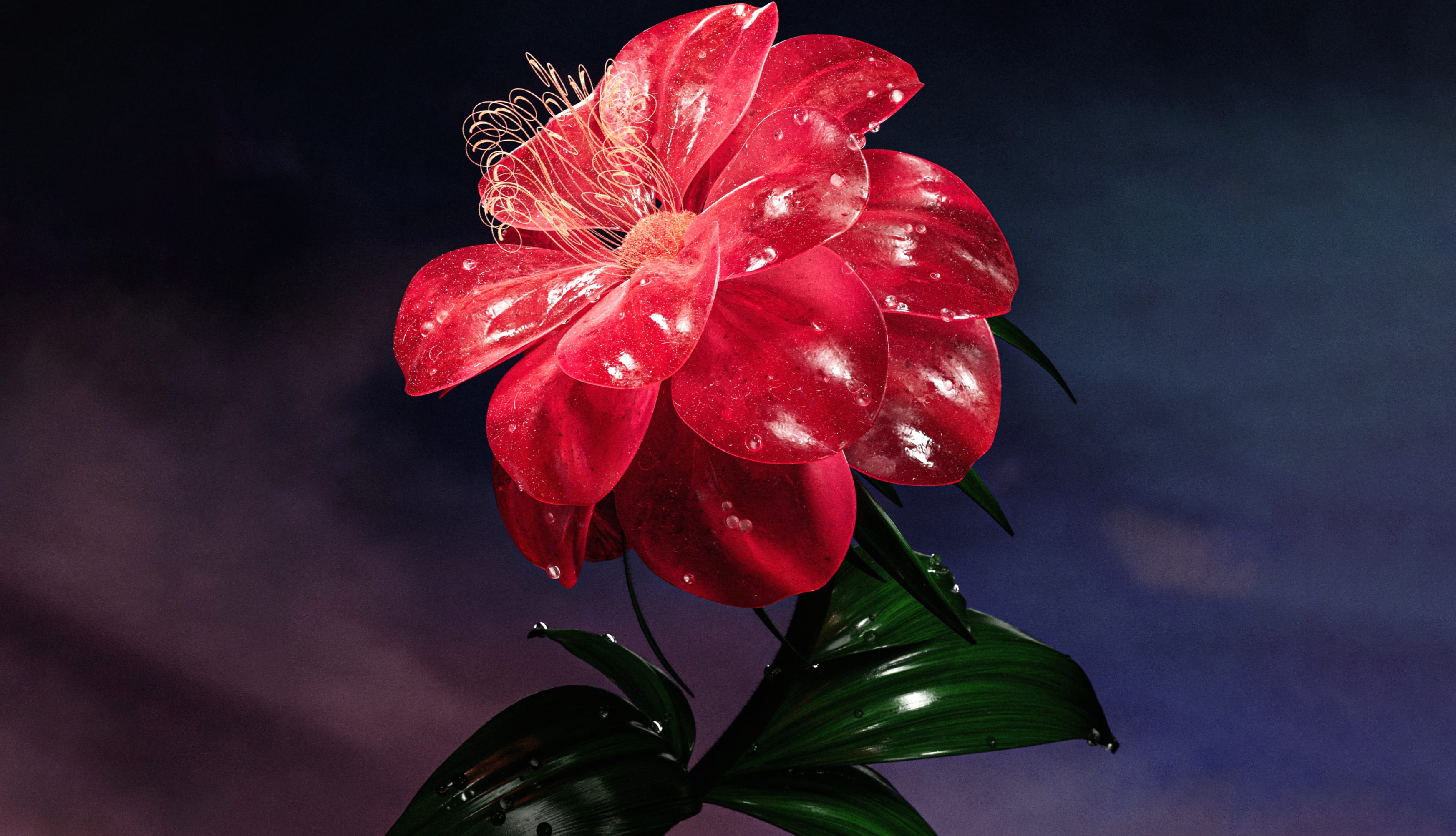 Red flower Bloom at 640 x 1136 iPhone 5 size wallpapers HD quality