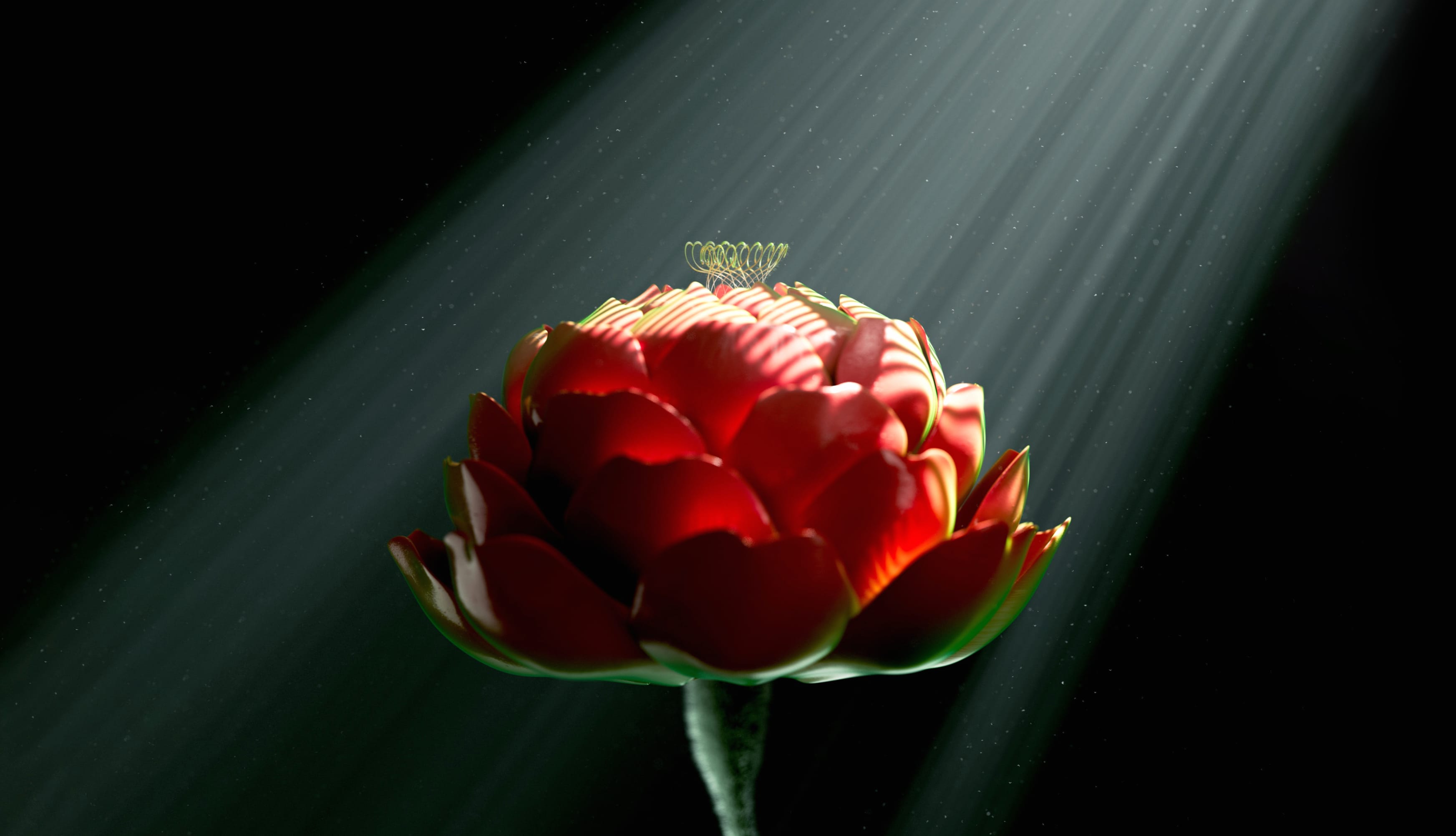 Red flower Digital Art wallpapers HD quality