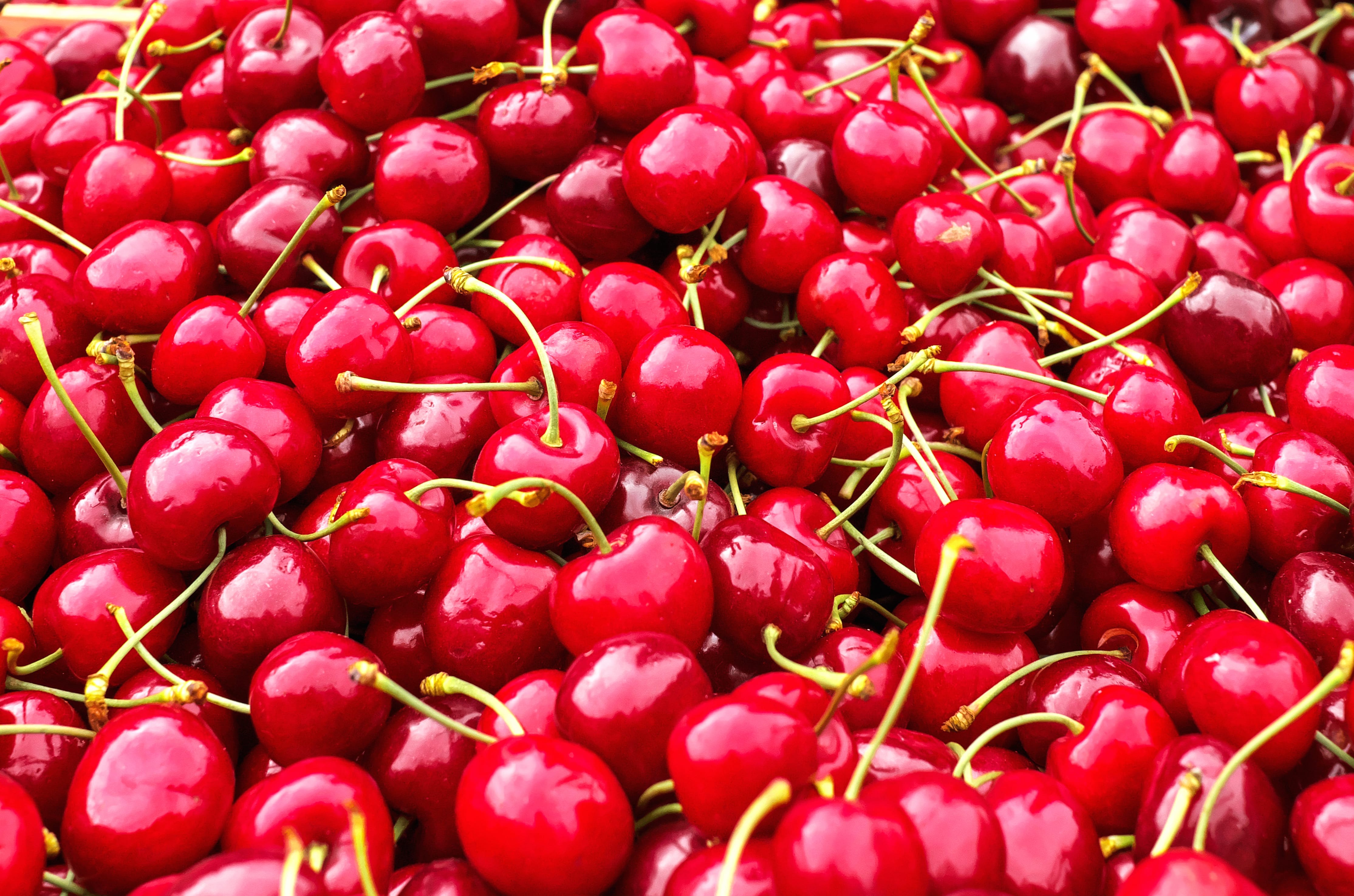 Red Fruit Food Cherry at 640 x 960 iPhone 4 size wallpapers HD quality