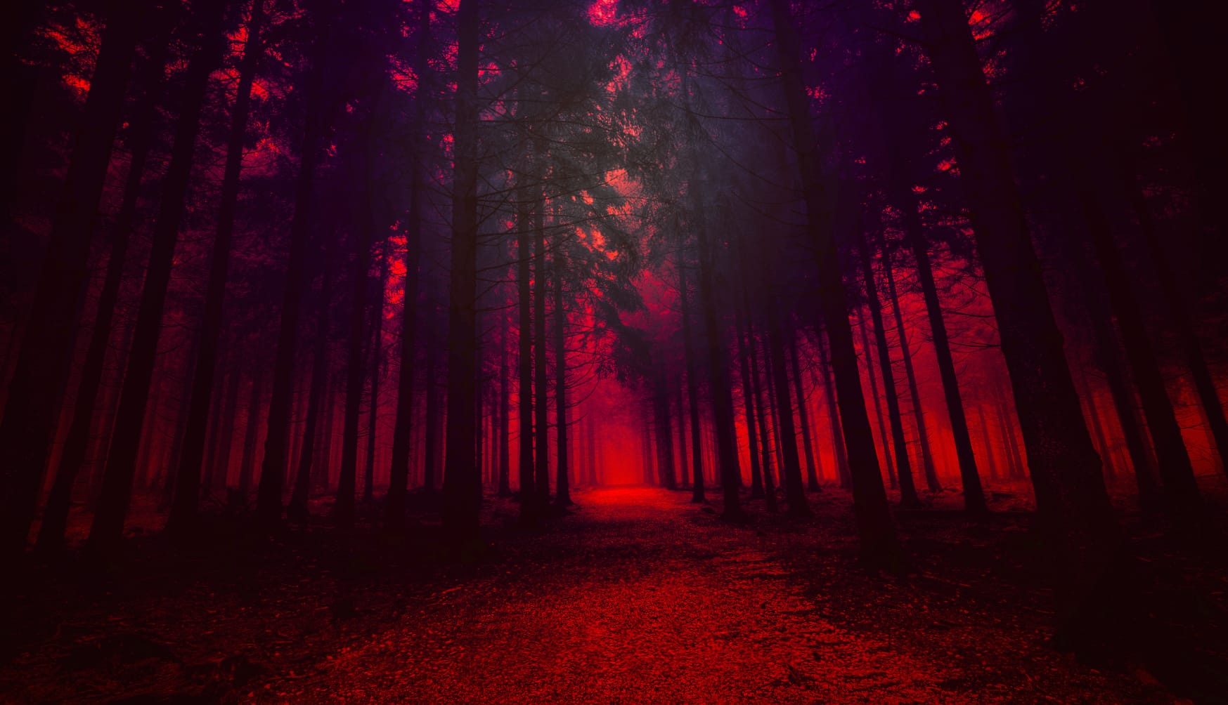 Red Woods wallpapers HD quality