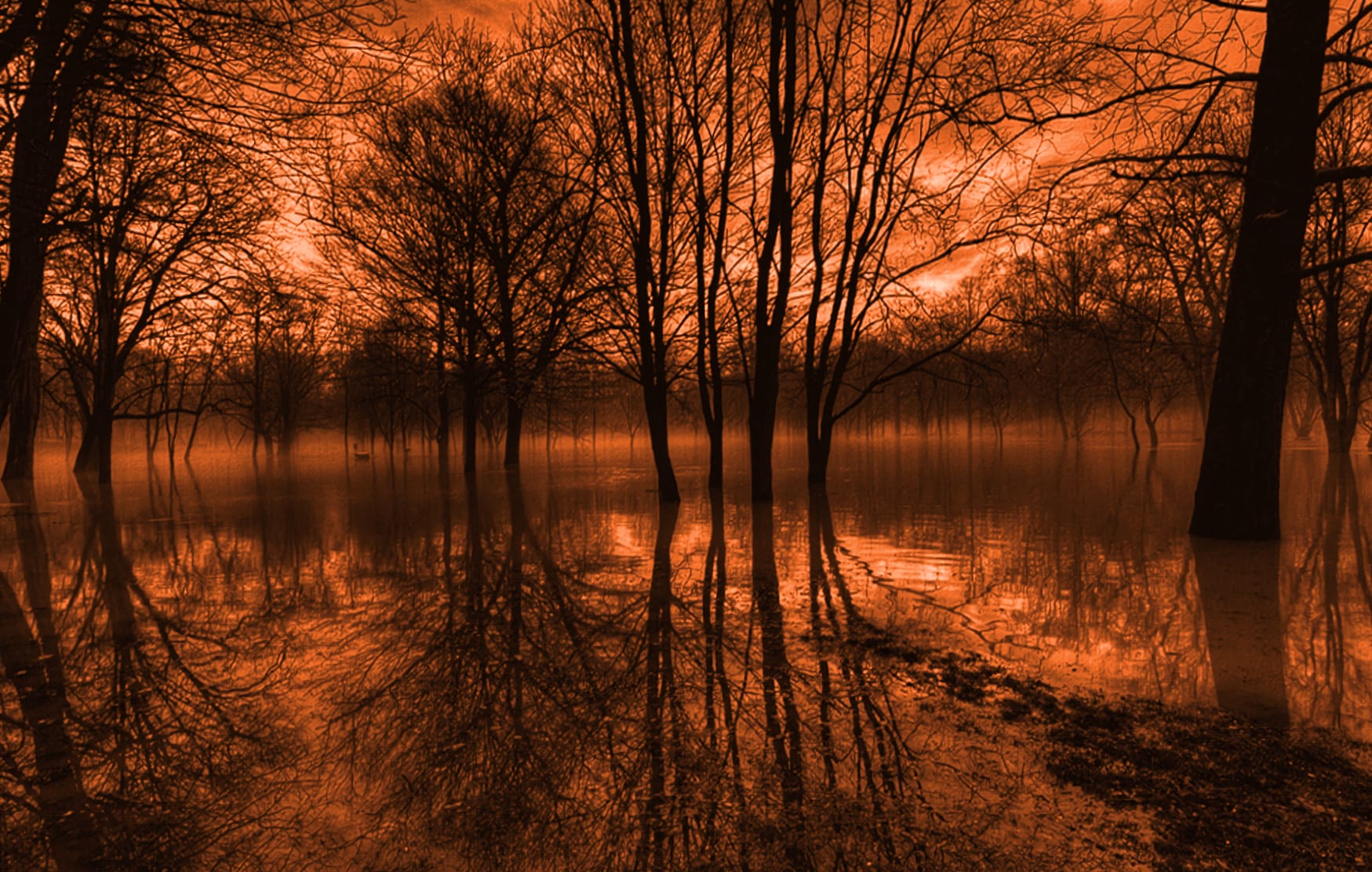 Reflections of Twilight - HD Nature Wallpaper at 320 x 480 iPhone size wallpapers HD quality